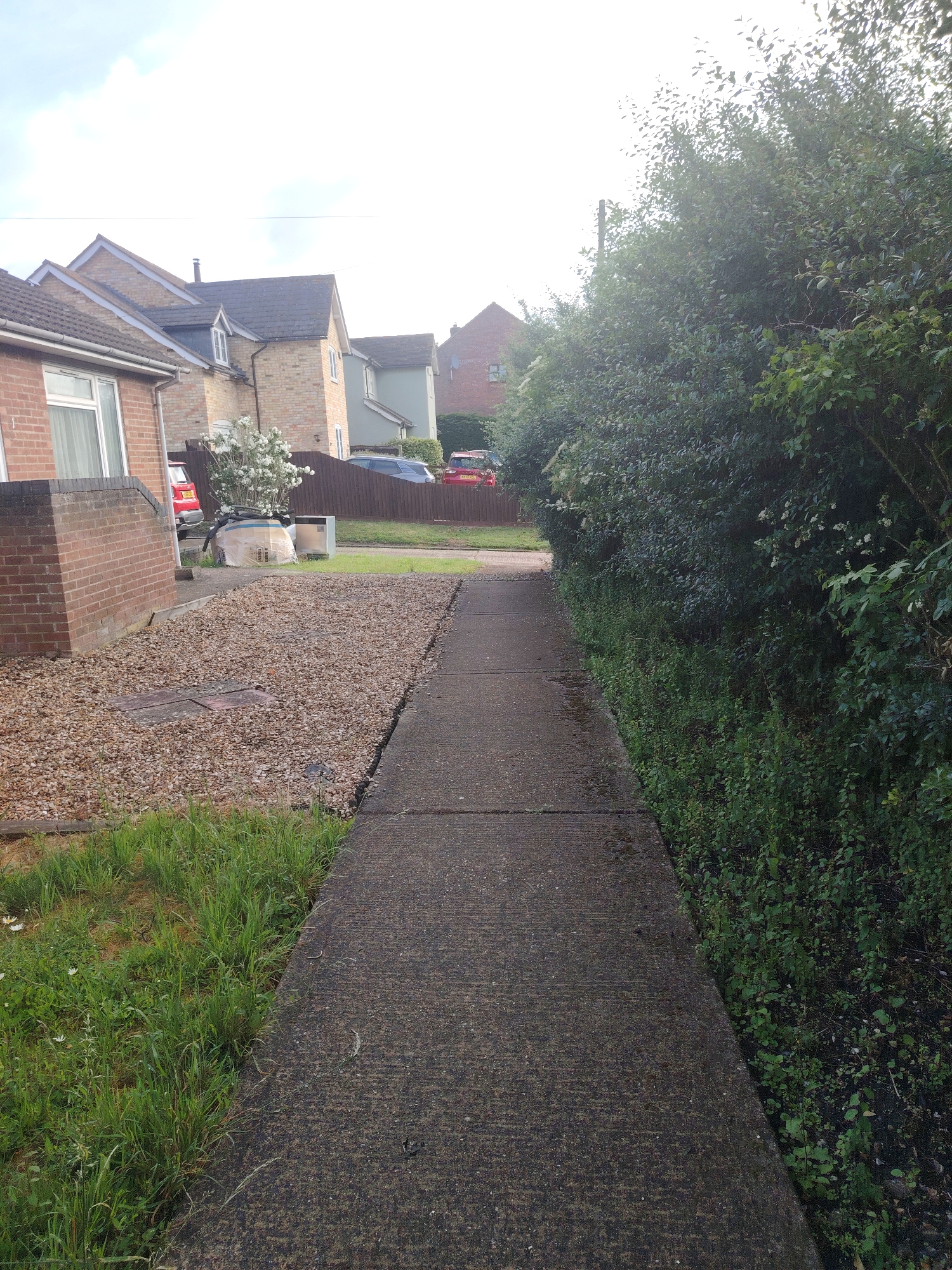This image displays a residential street in Huntingdonshire, United Kingdom, observed from the perspective of a concrete footpath. The footpath extends from the immediate foreground towards the midground. To the left, a section of a red brick house with a white-framed window is visible. Adjacent to the house is a gravel-covered area, which includes a prominent white flowering bush, a metallic utility box, and a large, horizontally wrapped object. Further back on the left, a wooden fence separates the property from other houses and vehicles, with red and dark-colored cars partially visible. To the right of the concrete footpath, a strip of untended grass and green vegetation borders a dense, tall hedgerow composed of various broad-leaved bushes. In the midground and background, multiple detached and semi-detached houses with brick and light-colored rendered facades and dark tiled roofs are visible. The sky is uniformly overcast and bright. No individuals are present in the scene.