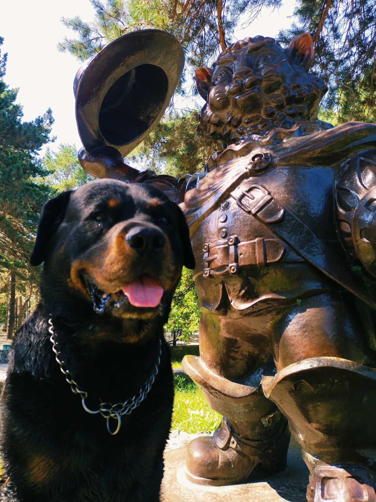 A Rottweiler dog is posing next to a bronze statue of a cat in armor holding a hat in the city of Horishni Plavni, Ukraine. The dog is wearing a silver chain collar and is looking at the camera with its tongue hanging out. The statue is life-sized and depicts a cat dressed as a knight, with a detailed costume including a breastplate, belt, and boots. The background shows trees and sunlight, indicating an outdoor setting. The image appears to be taken during the day in a park or public space.
