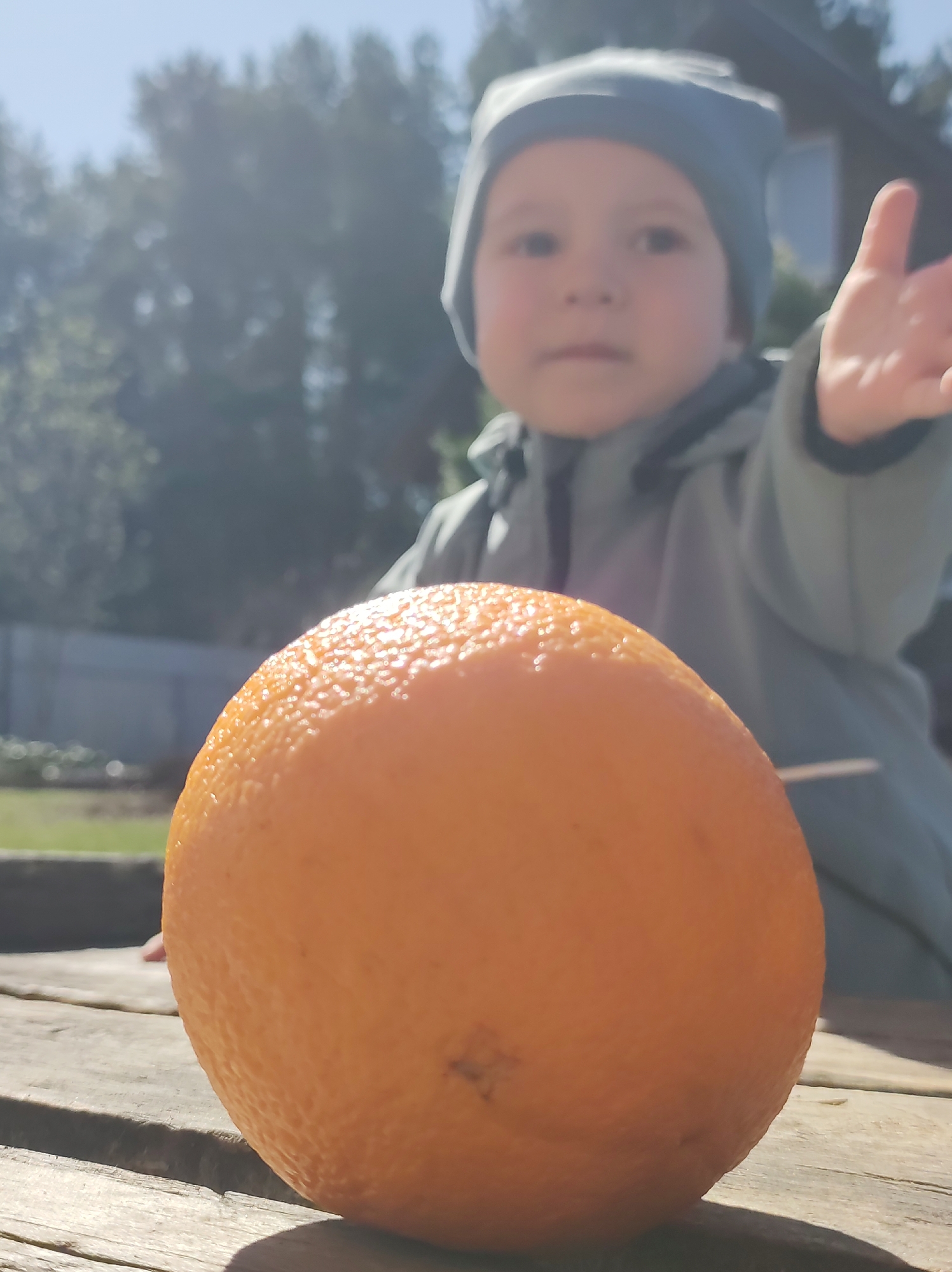 A blurry photo shows an orange in the foreground on a wooden surface. A child wearing a gray hat and jacket is in the background, with their right arm extended as if reaching for the orange. Trees and a building are visible in the far background. The location in the city of Фоки, Russia cannot be verified from the image.