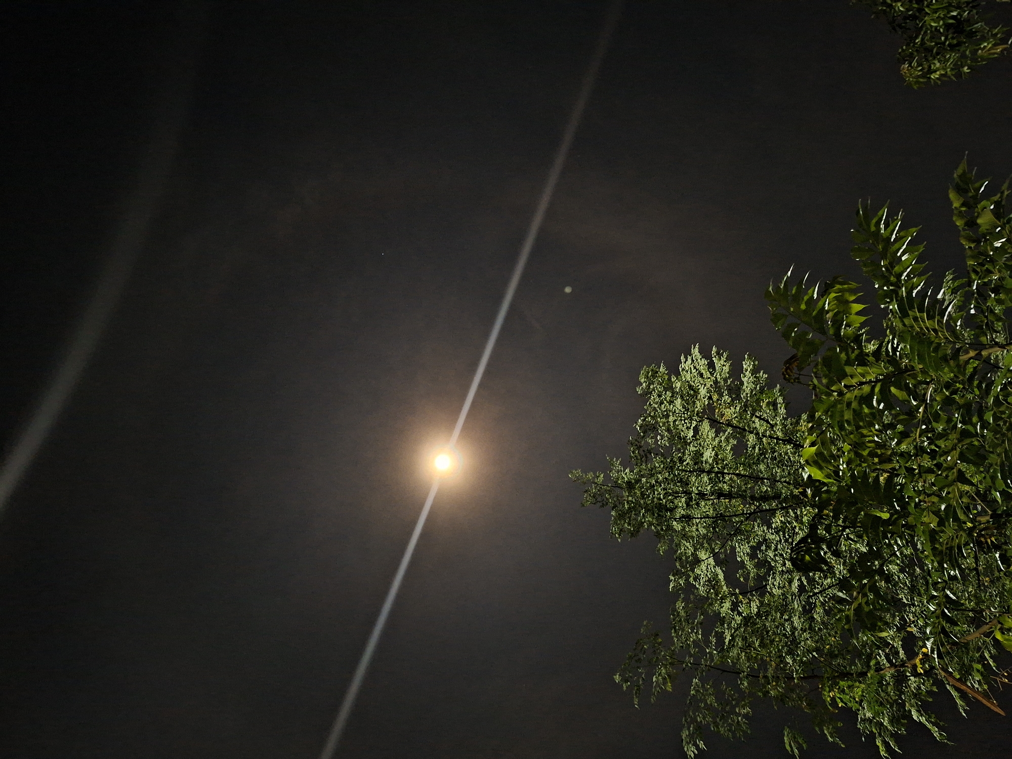 The media file captures a nocturnal outdoor scene, likely in Kutaglumpang, Indonesia. The dominant feature is a dark, expansive sky that fills most of the frame, indicating deep night.
A bright, circular light source, possibly the moon or a strong artificial light, is positioned in the upper-middle left of the image. This light source emits a soft glow, suggesting atmospheric haze or cloud cover, and is the focal point of the sky.
Cutting diagonally across the entire image, from the bottom-left corner through the bright light source to the top-right, is a prominent, narrow streak of intense white light. This appears to be a lens flare, a common photographic artifact from bright lights captured by a camera lens. Two fainter, small circular light anomalies, also likely lens ghosts, are visible in the sky near the main light source.
On the right side of the frame, and partially extending into the bottom-right, is a dense cluster of lush green foliage belonging to one or more trees. The leaves are sharply defined and appear vibrantly illuminated, contrasting starkly with the dark background. The texture and color of the leaves suggest a healthy, tropical or subtropical tree type. No human subjects, activities, or discernible text are visible in the image.