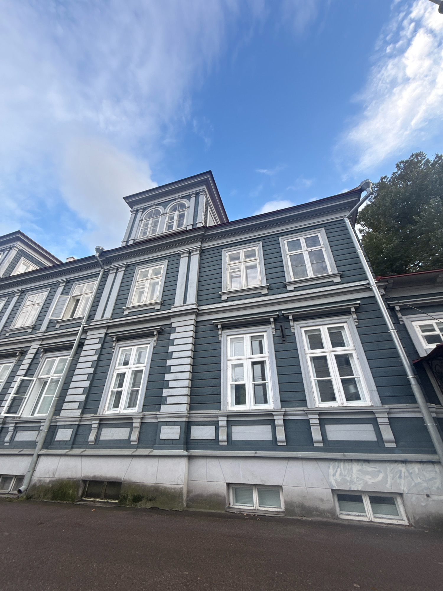 The image shows a close-up of the facade of a dark blue wooden building in Tallinn, Estonia. The building has multiple floors with numerous white-framed windows. The architecture appears historic, with decorative molding around the windows and along the edges of the building. A large drainpipe runs diagonally down the side of the building. The sky above is blue with some scattered white clouds. In the upper right corner, the dark green leaves of a large tree are visible. The lower part of the image shows a dark, textured ground surface, possibly a street or walkway, with some small, recessed windows near the foundation of the building, which appears to be somewhat mossy at the base. The perspective is angled upwards, emphasizing the height and grandeur of the building.