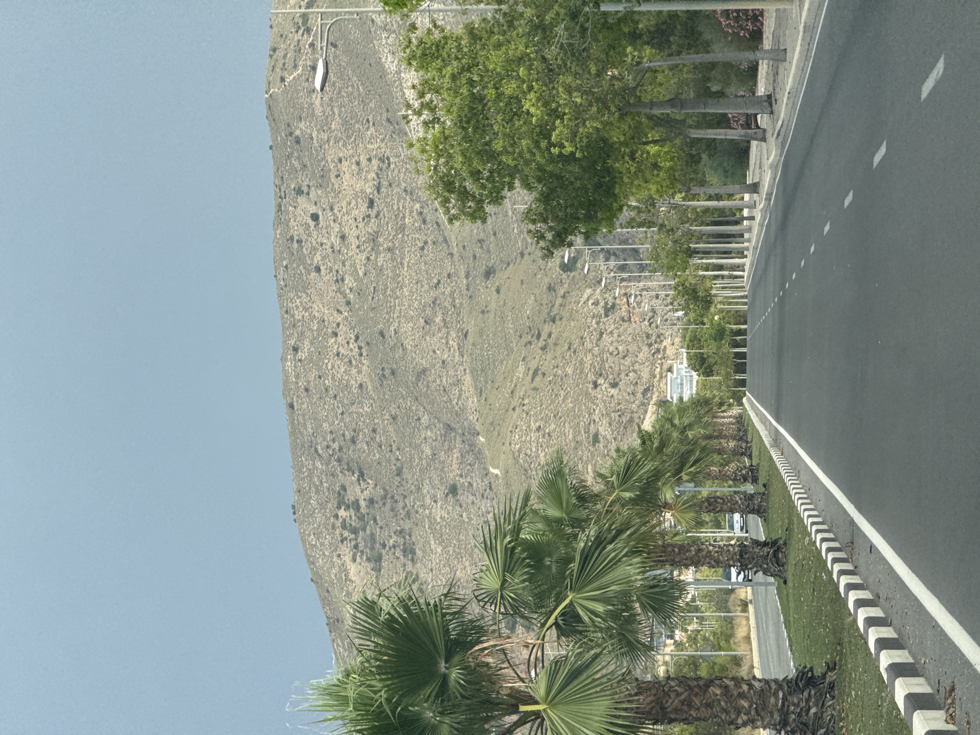 The image depicts a road lined with palm trees and other vegetation, leading towards a large, arid hill under a pale blue sky. The road is asphalt with white dashed lines marking the lanes. On the left side of the road, a strip of grass is bordered by a curb with alternating black and white blocks. Several palm trees are planted along this strip. On the right side, deciduous trees and streetlights line the road. In the distance, buildings can be seen at the base of the hill. The overall scene suggests a well-maintained urban or suburban area adjacent to a natural landscape. The location is identified as Finestrat, Spain.