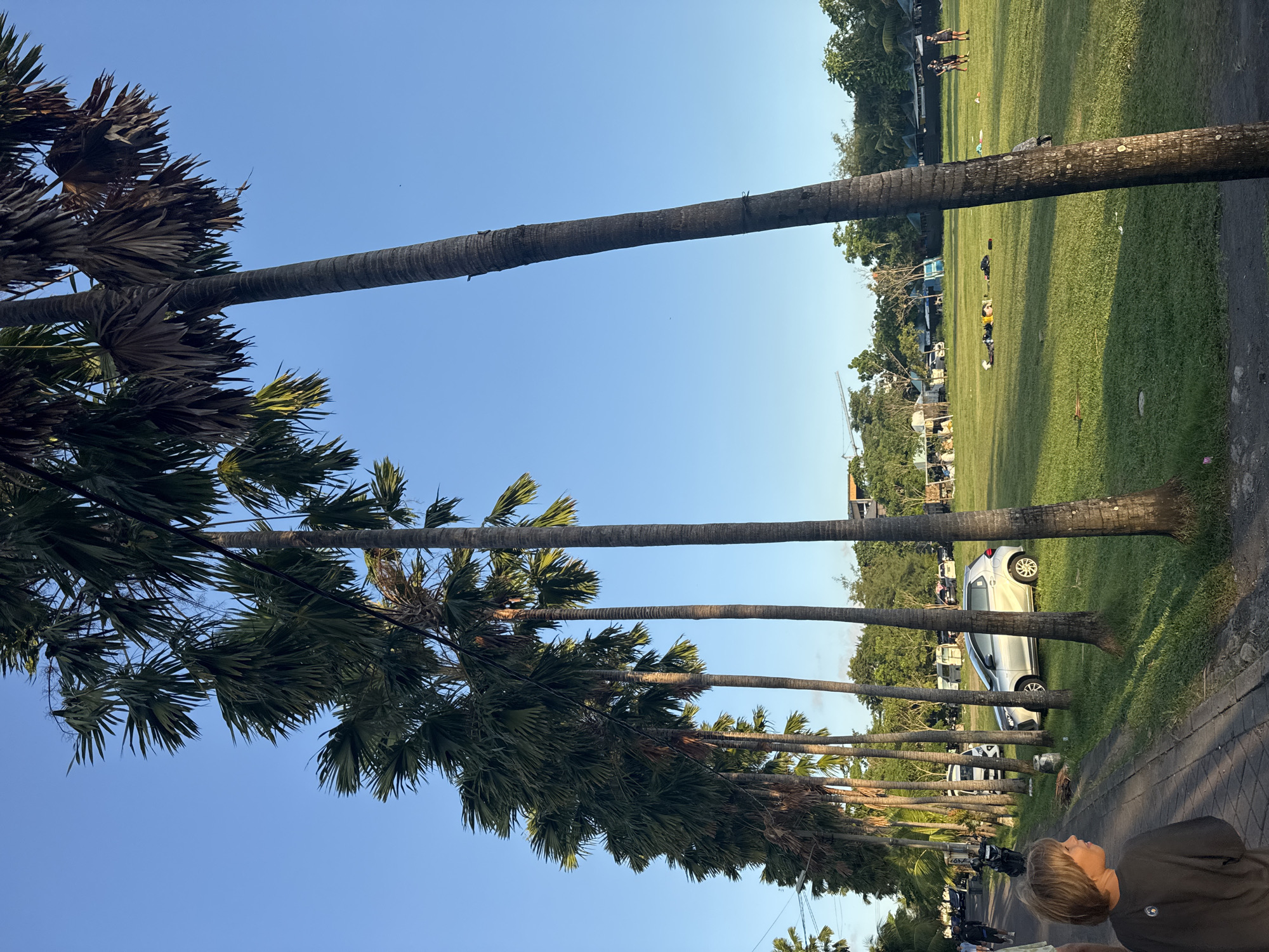 The image shows a row of tall palm trees along a street in North Kuta, Indonesia. On the right, there is a grassy field with people and vehicles in the background. The sky is clear and blue. In the foreground, there is a person with short blonde hair walking along the street. Parked cars and motorbikes are also visible on the side of the street. A crane can be seen in the background.