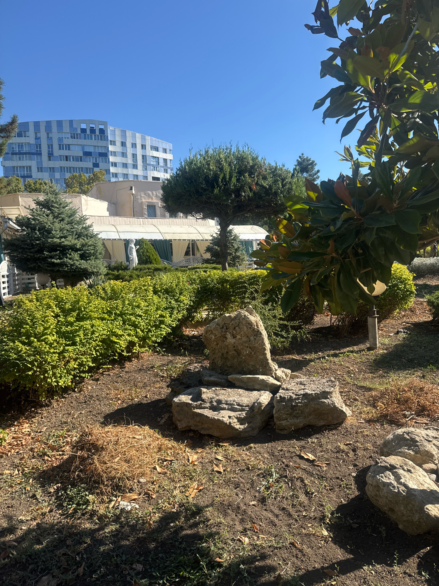 The image depicts a sunny outdoor scene in Anapa, Russia. In the foreground, there is a cluster of large rocks on a patch of dry soil and grass, with a pile of dried grass to the left. Behind the rocks, a manicured garden features dense green bushes and a solitary spruce tree. Further back, a white statue stands amidst more greenery, with a white canopy structure and building visible behind it. Dominating the background is a modern, curved building with a facade of white and blue-tinted windows, under a clear blue sky. A large tree with dark green leaves is prominent in the right mid-ground.