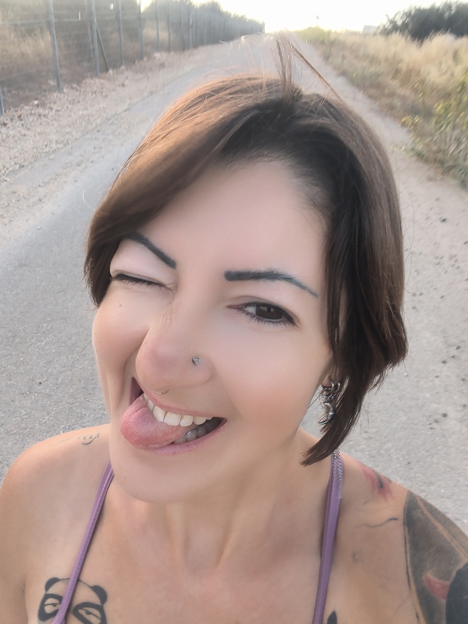 A close-up outdoor portrait features a woman with short, dark brown hair, winking with her left eye and playfully sticking out her tongue. Her eyebrows are distinctly styled, with a thin blue line accentuating the arch of her left eyebrow. She has multiple facial piercings, including a heart-shaped stud in her left nostril and a small hoop in her right. Tattoos are visible on her upper chest, appearing as a stylized panda face, and a larger, multi-colored abstract design on her right shoulder and upper arm. She is wearing a lavender-colored strap from a tank top or camisole.
The background depicts a dirt or gravel road stretching into the distance, flanked by dry, golden-brown grasses and bushes. A wire fence runs along the left side of the road, suggesting a boundary in a rural or semi-rural environment. The soft, warm lighting indicates late afternoon or early evening, likely during golden hour. The dry vegetation and overall landscape are consistent with the Lachish Regional Council, Israel. The woman's expression conveys a happy, mischievous, and expressive mood. No text is visible in the image.