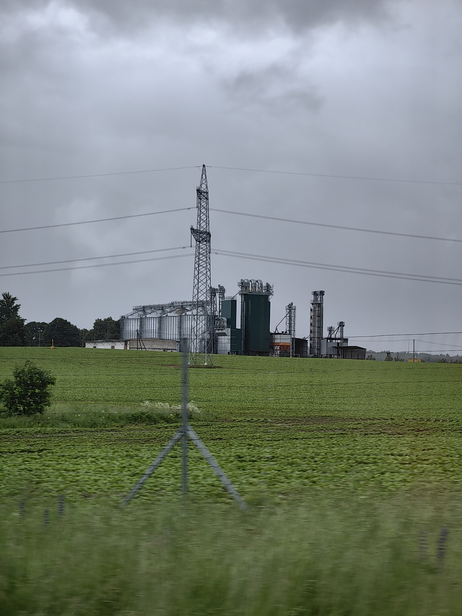 The image captures an industrial complex, likely a grain storage facility, situated in the rural landscape of Путчынскі сельскі Савет, Belarus. The facility consists of several tall, cylindrical silos, some with a metallic sheen, and a series of interconnected buildings with a predominantly green facade. A prominent lattice steel power transmission tower stands to the left of the silos, with multiple power lines stretching across the overcast sky. In the foreground, a vast, green agricultural field occupies the majority of the frame, with rows of low-lying crops. A metal fence post with a tripod base is visible in the field, and further in the distance, a line of trees borders the horizon. The overall atmosphere is subdued, indicative of a cloudy day. There are no people visible in the image.