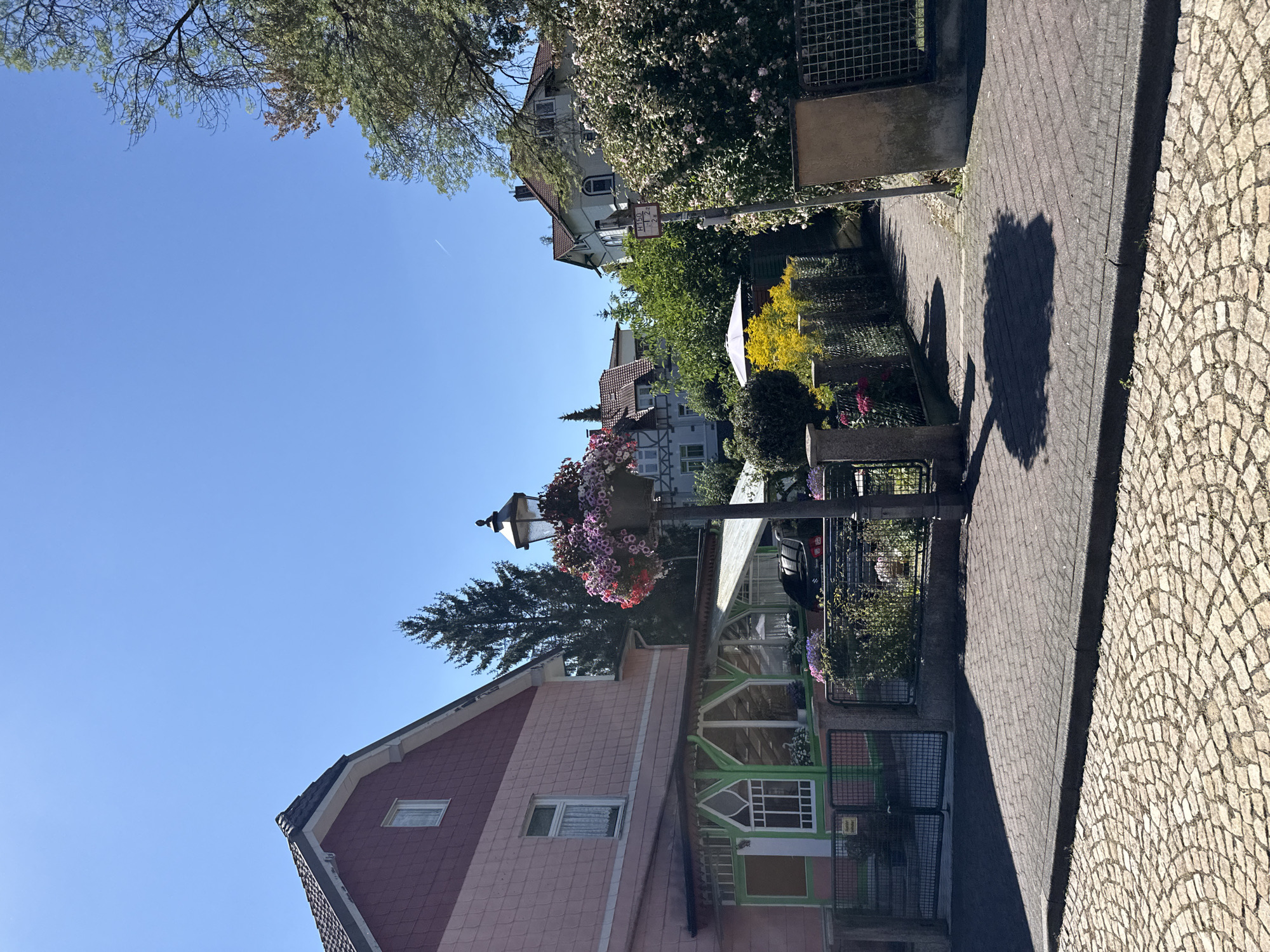 The image depicts a street scene in Bad Sachsa, Germany. The foreground is paved with cobblestones. A sidewalk with a darker stone pattern runs alongside a property. On the left, a pink and maroon house with a green enclosed porch is visible. A black metal gate is set into a low fence in front of the house. To the right of the house, a street lamp with hanging flower baskets stands beside a walkway. Beyond the walkway, a densely vegetated area with fences and trees is present. Several houses with tiled roofs are visible in the background, along with a blue sky. A sign with German text is attached to a pole near the right edge of the image.