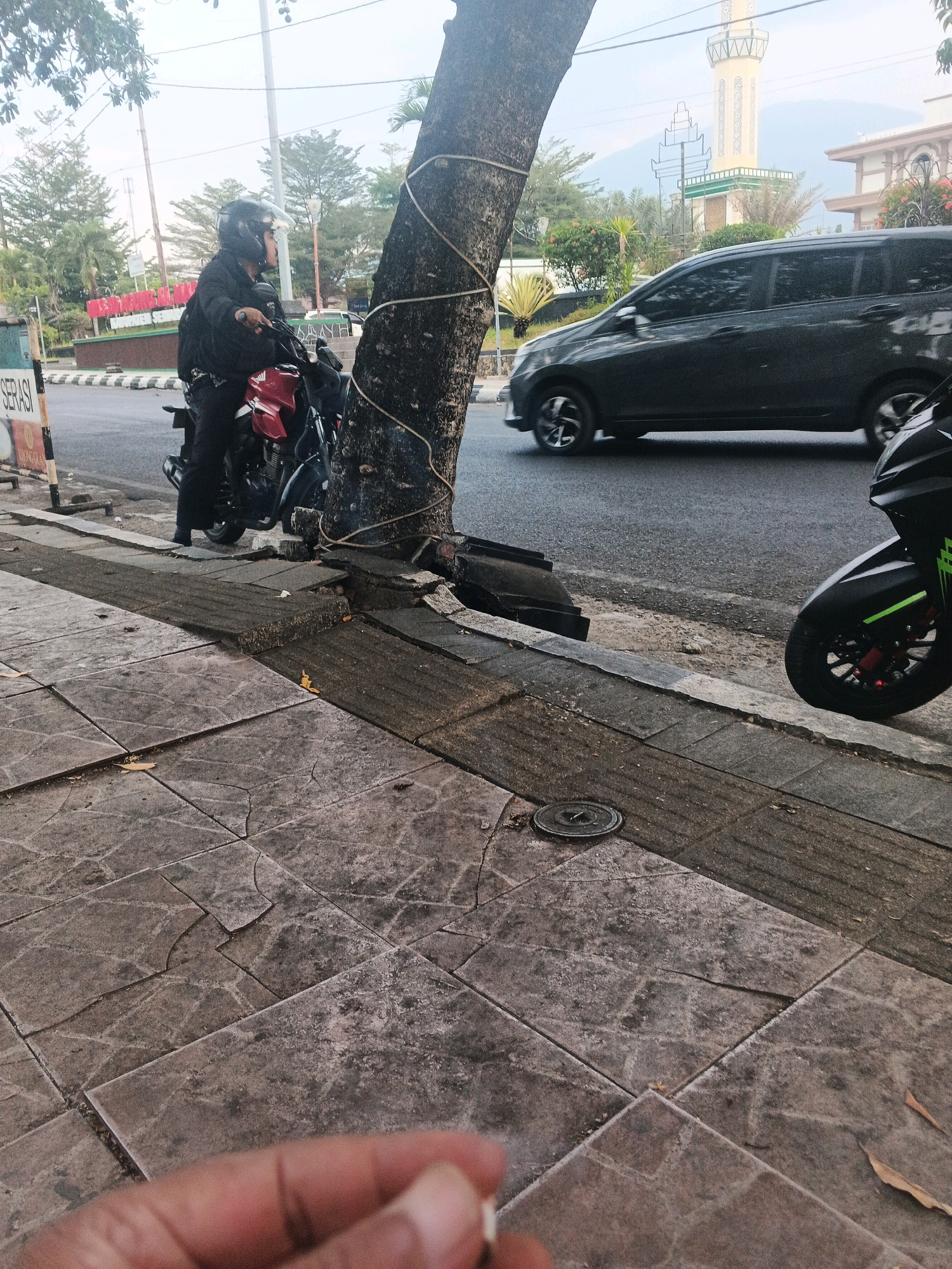 The image depicts a street scene in Sidomulyo, Indonesia, on a bright, overcast day. In the foreground, a person wearing a black jacket and helmet is seated on a red motorcycle, parked on the side of the road. The motorcycle has visible black accents and a red seat. The sidewalk, constructed of large, square tiles with a patterned surface, appears cracked and uneven, with some sections displaced. A tree with a thick trunk, wrapped with thin rope, stands beside the sidewalk and partially obscures the view.
In the mid-ground, a dark-colored van is driving on the asphalt road. Beyond the road, there is a mosque with a tall, slender minaret topped with a green, pointed structure. In the background, lush green trees and foliage are visible, and mountains can be seen in the distance. A street sign with red lettering that appears to read "SERASI" is also present near the motorcycle. The overall scene suggests a typical urban environment with a blend of modern vehicles, traditional architecture, and natural elements. A person's hand holding a cigarette filter is visible at the bottom edge of the frame.
