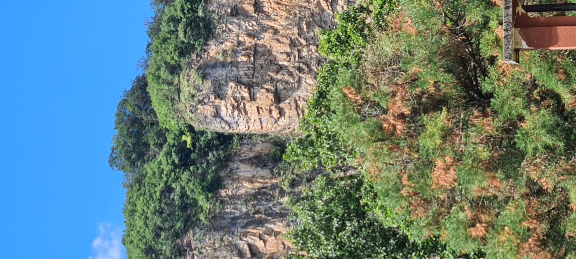 The image shows a steep, rocky cliff face covered with lush green trees and vegetation. The cliff is composed of various shades of brown and tan rock layers, with some areas appearing eroded and others more solid. The top of the cliff is densely forested, with the trees creating a dark green canopy against a bright blue sky. In the foreground, there are more trees, some of which appear to have brown, dry foliage mixed with green. A small portion of a reddish-brown structure with a gray top is visible on the far right, near the bottom of the frame. The scene appears to be an outdoor natural landscape, likely a park or a natural reserve within the city of Lopian, Bulgaria.