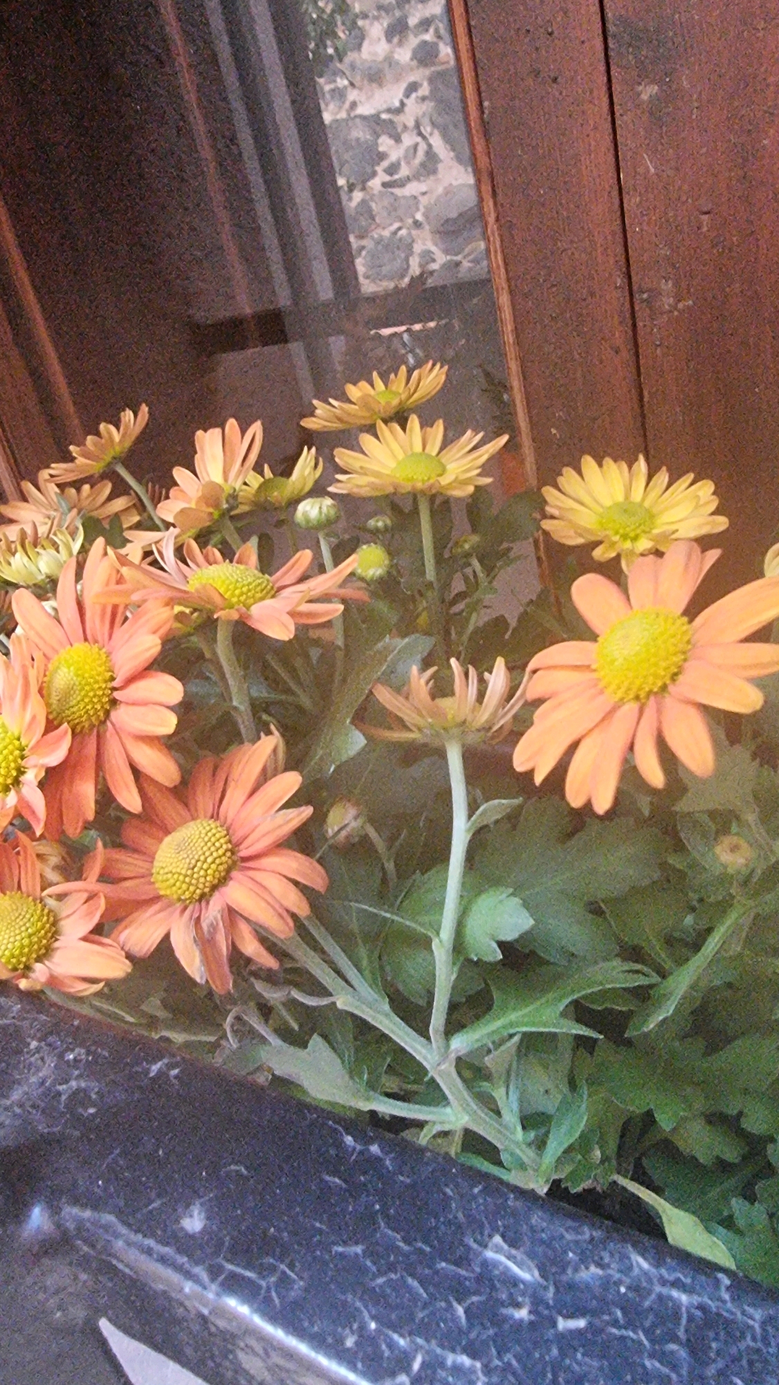 In a close-up shot taken from a low angle, a cluster of orange and yellow daisies with yellow centers is arranged in front of a dark, wooden paneled window. The window's glass reflects a rough, grey stone wall. A dark, speckled surface, possibly a countertop or windowsill, occupies the bottom of the frame. The image does not provide any information to indicate the specific location within Castellfollit De La Roca, Spain.