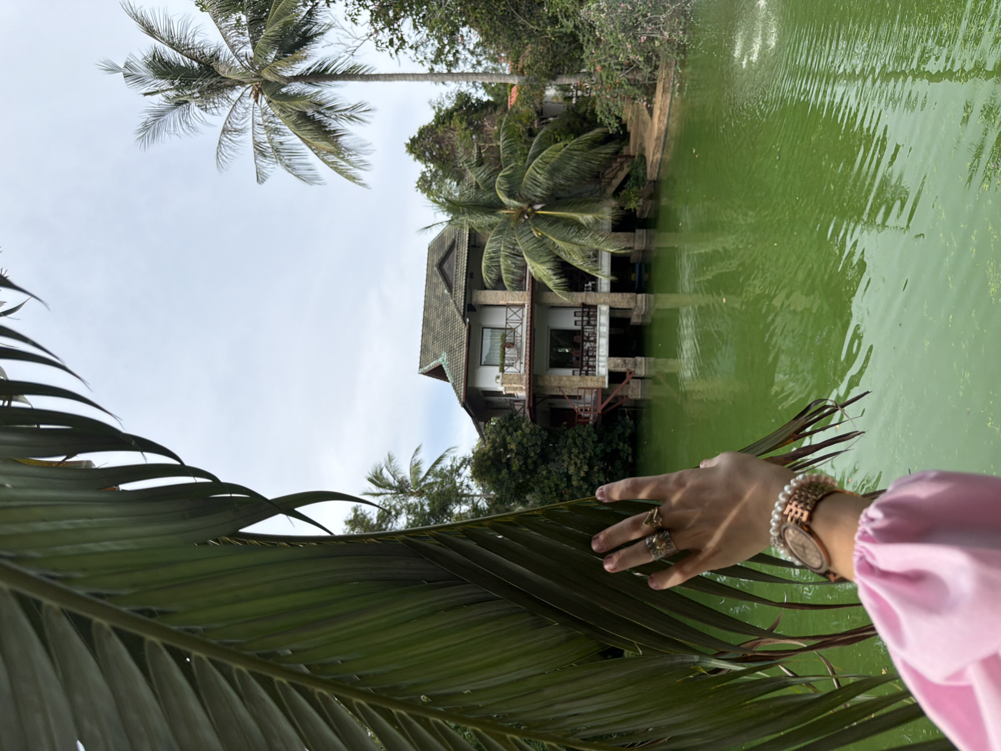 This media file features a close-up of a person's hand in the foreground, with a building and a body of water in the background. The hand, adorned with rings and a watch with a pearl bracelet, is reaching out towards the viewer, with the palm facing upwards. The building appears to be a multi-story structure with a wooden facade and a dark tiled roof, situated on stilts over the water. The water is a vibrant green, with ripples suggesting movement. Palm trees are prominent in the scene, with large fronds framing the left side of the image. The sky is overcast. The setting appears to be a tropical resort or a similar establishment, given the presence of palm trees and the architectural style of the building. The lighting suggests it is daytime. The image conveys a sense of relaxation and vacation. No visible text is present in the media file.