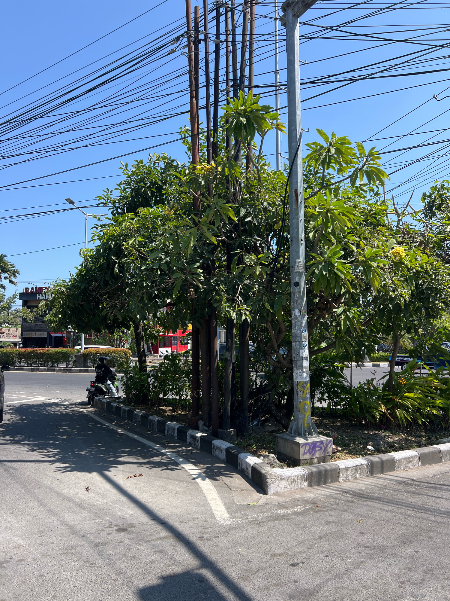 In Kuta, Indonesia, a street corner scene unfolds under a clear blue sky. Power lines crisscross overhead, supported by wooden and metal poles. Lush green trees with broad leaves and some yellow flowers partially obscure the view of buildings and a street lamp in the background. In the foreground, a motorcycle with a rider wearing a dark helmet and jacket is parked on the side of an asphalt road. The road is marked with white lines and bordered by a concrete curb painted with alternating black and white stripes. Shadows from trees and poles fall across the road. Beyond the curb, there is a patch of greenery with more trees and bushes. Some graffiti, including the word "DOESY," is visible on the base of a utility pole. The overall impression is a sun-drenched urban environment with abundant vegetation.