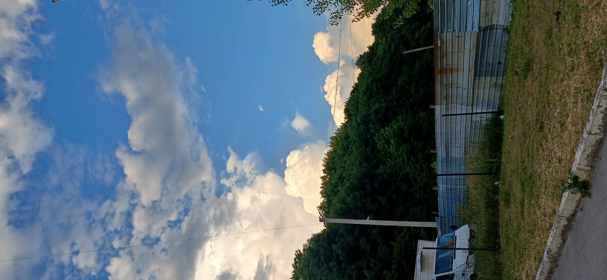 The image depicts an outdoor scene with a bright blue sky filled with fluffy white clouds. On the right side of the frame, there's a dense wall of dark green evergreen trees. Behind the trees, a corrugated metal fence runs along the property line, with some sections appearing weathered and rusted. In front of the fence, a black wire fence encloses a grassy area. The grass is a mix of green and dry, brown patches, suggesting a warm season.
Towards the bottom right, a concrete curb separates the grassy area from an asphalt surface, possibly a road or parking lot. A white van is partially visible parked behind the wire fence, near the metal fence. A tall, slender concrete pole stands upright in front of the trees, with some wires running across the scene horizontally.
The lighting suggests it is daytime, likely late afternoon or early evening, as the clouds catch the warm light and cast some shadows. The overall impression is one of a slightly unkempt, possibly industrial or rural outskirts of a location. There is no visible text in the image. The scene is peaceful, with no people or active events depicted.