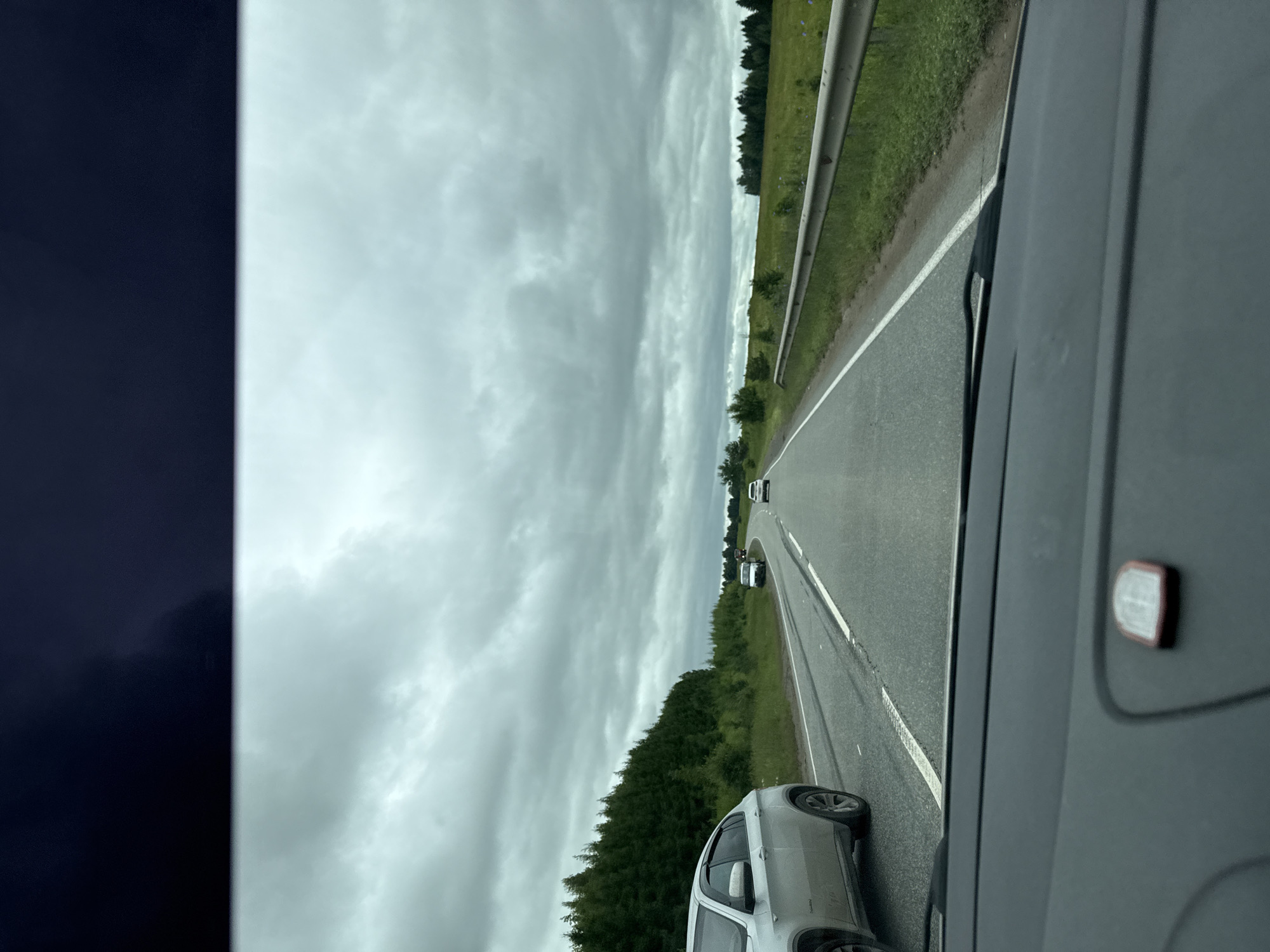 The image is a first-person perspective from inside a vehicle driving on a two-lane asphalt road. The road is wet, indicating recent rain. The sky is overcast with dark, heavy clouds. On the left side of the road, there is a dense evergreen forest. On the right side, there is a grassy field with a metal guardrail running alongside the road. Several vehicles are visible on the road, including a silver SUV in the foreground on the left, and other cars further ahead in the distance. The dashboard of the vehicle is visible in the bottom of the frame, with a small red and white object on it. The overall scene suggests a journey through a rural or semi-rural area under cloudy weather conditions. The location is identified as Staroye Martynovo, Russia.
