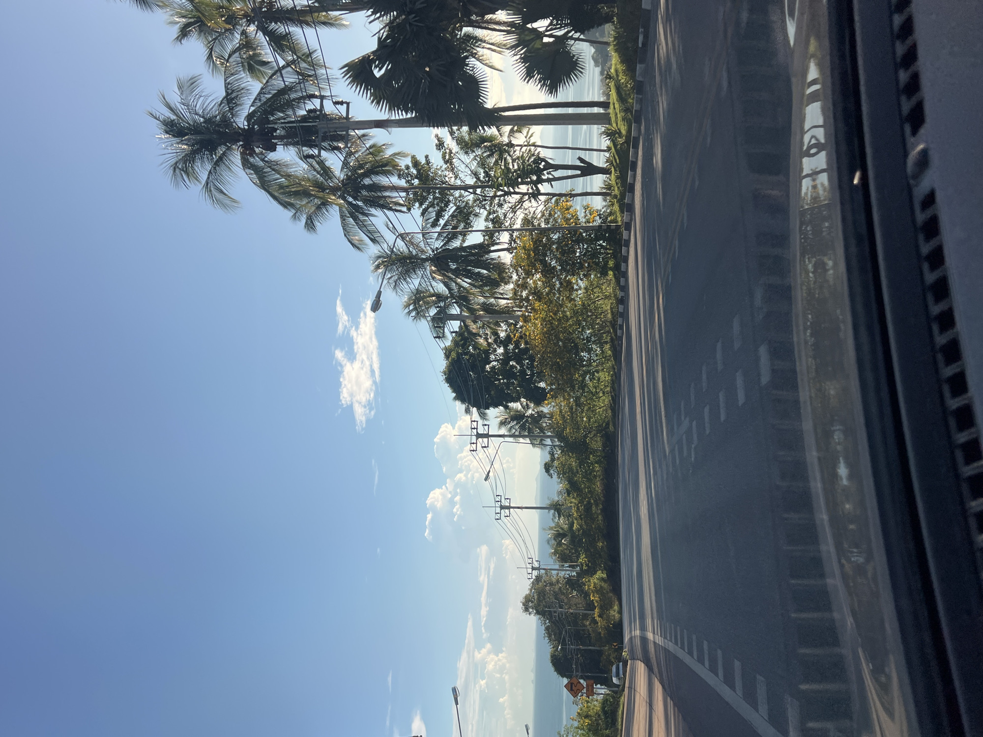 The image depicts a winding road with a slight incline, leading towards a body of water in the distance. The road surface is asphalt, marked with dashed white lines. On the right side of the road, there is a curb with alternating black and white stripes, followed by a grassy area and then a dense collection of palm trees and other vegetation. Several utility poles with wires are visible along the roadside, with streetlights also present. The background reveals a calm sea under a bright blue sky with scattered white clouds. The overall scene suggests a tropical coastal environment.