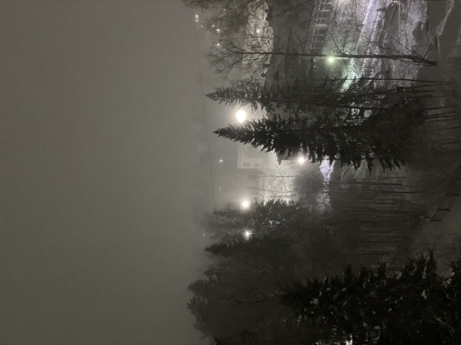 The image depicts a nighttime, heavily obscured winter scene in Ust-Ilimsk, Russia, viewed from an elevated perspective. The environment is dominated by a thick atmospheric condition, likely heavy snowfall or dense fog, which diffuses all light sources and significantly reduces visibility. The ground is uniformly covered in snow.
In the foreground, a dense collection of evergreen and bare deciduous trees forms a dark silhouette, with visible snow accumulation on some branches. A snow-covered slope or ravine descends into the mid-ground, where more trees are visible, including several tall evergreens standing prominently. A faint, snow-covered path or access road with visible tracks is discernible running through the lower part of this slope, bordered by what appears to be a low, dark fence or railing on the left.
Multiple bright, circular light sources, identifiable as streetlights, are scattered throughout the mid-ground and background. Their light is intensely diffused by the atmospheric conditions, creating prominent halos. A light-colored, multi-story building with a flat roof is visible in the mid-ground, slightly left of center, partially illuminated. To the right of this, another larger, darker building with multiple windows is partially visible through the haze and trees. Further in the background, additional fainter lights and indistinct structural outlines suggest a continued urban or suburban development. No individuals or specific actions are discernible within the frame.