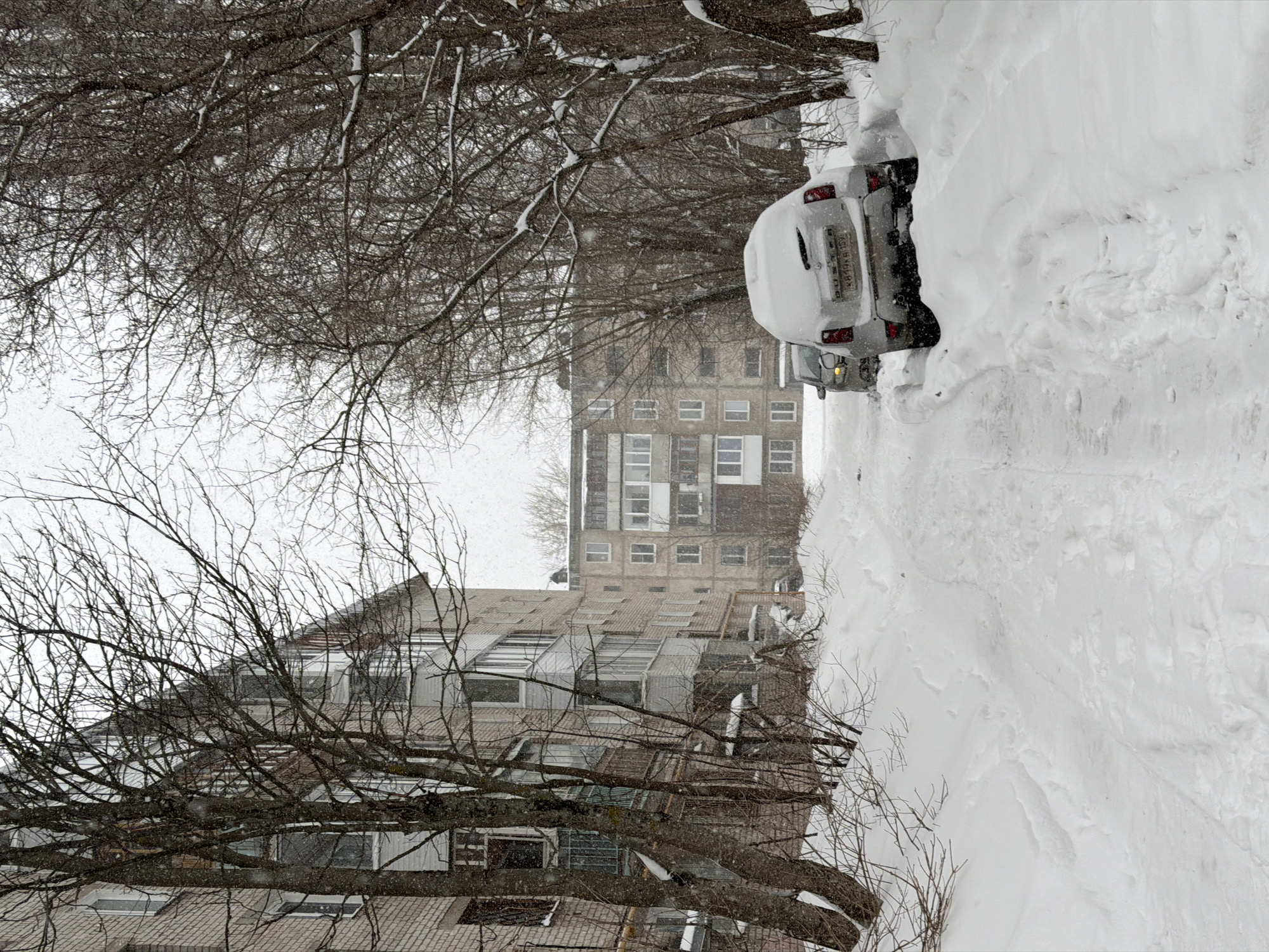 The image, taken in Berezniki, Russia, captures a scene of heavy winter snowfall in an urban environment. The perspective looks down a street or path heavily impacted by snow.
In the foreground and mid-ground on the left, numerous bare trees with intricate, snow-dusted branches dominate, partially obscuring multi-story residential buildings. These buildings vary in design, with some appearing to be older apartment blocks featuring multiple windows and balconies, while others have more modern or renovated sloped roofs with visible attic windows.
On the right side of the frame, a light-colored car, possibly a crossover or SUV, is partially buried in a deep snowdrift. Its rear is visible, showing a Russian license plate: "B819KB 159". To the immediate right of the car, an immense pile of snow, significantly taller than the vehicle, suggests extreme accumulation or snow clearing efforts. Snowflakes are actively falling and are visible against the diffused, overcast sky, blanketing all surfaces in a thick, white layer. The overall scene conveys harsh winter conditions with substantial snowfall. No people are visible. The time of day appears to be daytime, under heavily overcast conditions typical of a snowstorm.