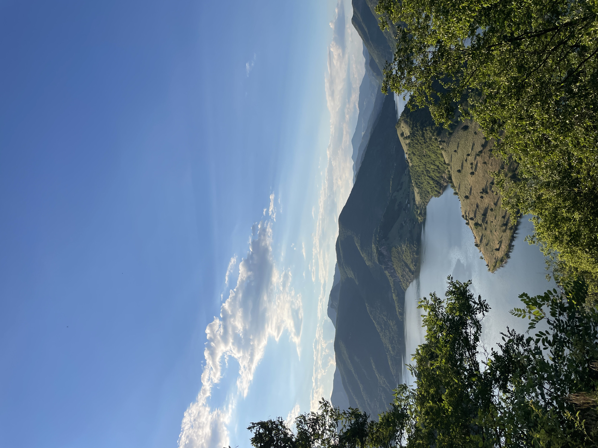 A panoramic, high-angle landscape shot depicts the Arda River, also known as the "Blue Eye of the Rhodopes," as it snakes through a verdant, mountainous terrain. The clear blue sky, dotted with a few wispy clouds, stretches across the upper portion of the frame, casting a gentle light on the scene below. The river's tranquil surface reflects the surrounding natural beauty, with rolling hills cloaked in lush green foliage cascading down to the water's edge. A sparse scattering of trees dots the hillsides, adding texture and depth to the landscape. In the foreground, the branches of a large tree frame the view, its leaves a vibrant green against the backdrop of the expansive vista. The image captures a serene and untouched natural environment, evoking a sense of peace and solitude.
