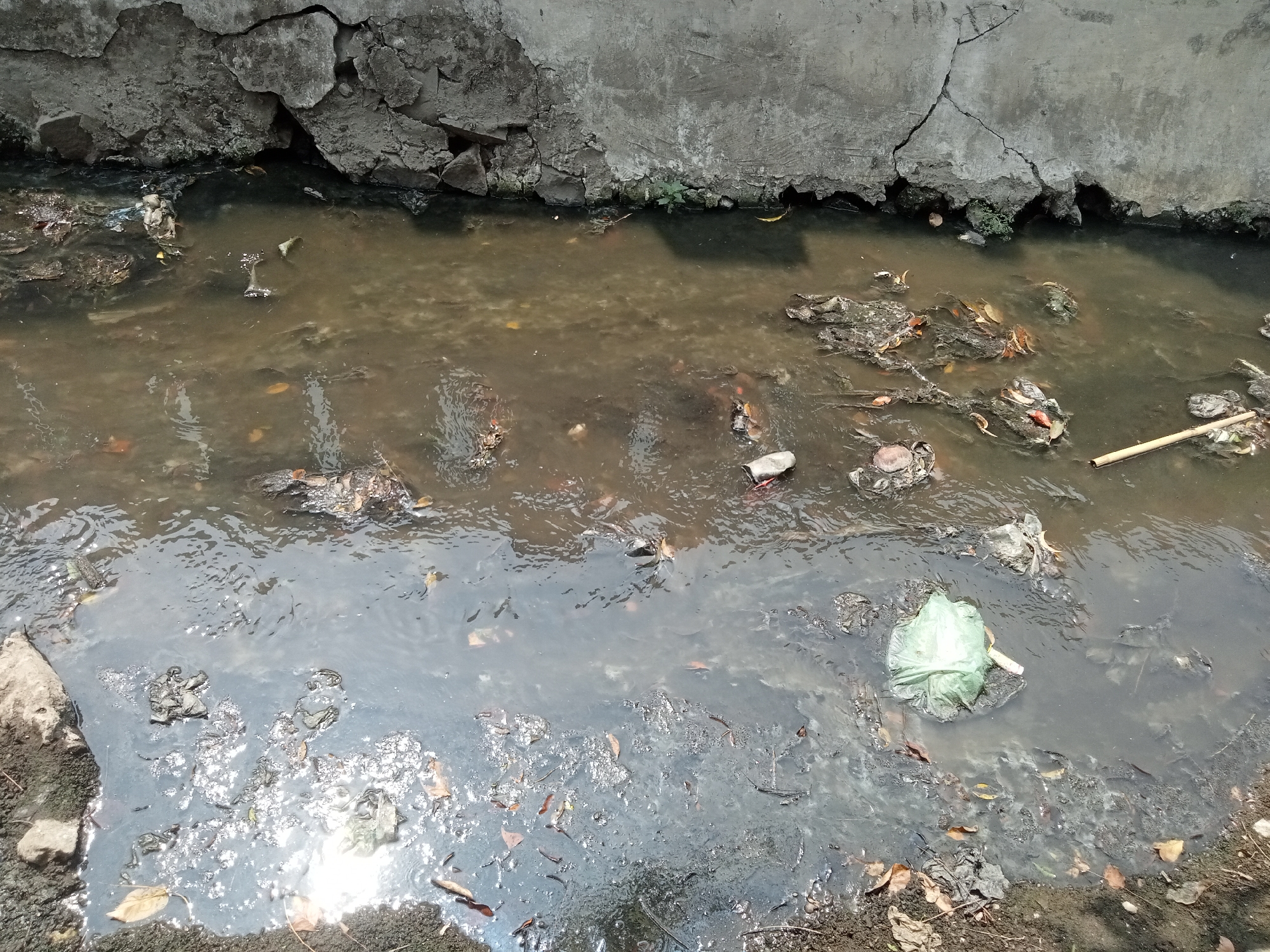 The image shows a stagnant, murky canal in Semarang, Indonesia, filled with debris and trash. The canal is bordered by a cracked concrete wall on the left, with some loose rocks and dirt. The water itself is dark and opaque, with visible patches of oil slick or a similar substance reflecting the sunlight. Numerous pieces of trash are floating in the water and accumulated along the banks, including plastic bags, food wrappers, leaves, and other unidentifiable refuse. The overall impression is one of neglect and pollution, suggesting a lack of proper waste management or maintenance of the waterway. The canal appears to be a drainage channel or a less-trafficked waterway within the urban environment.