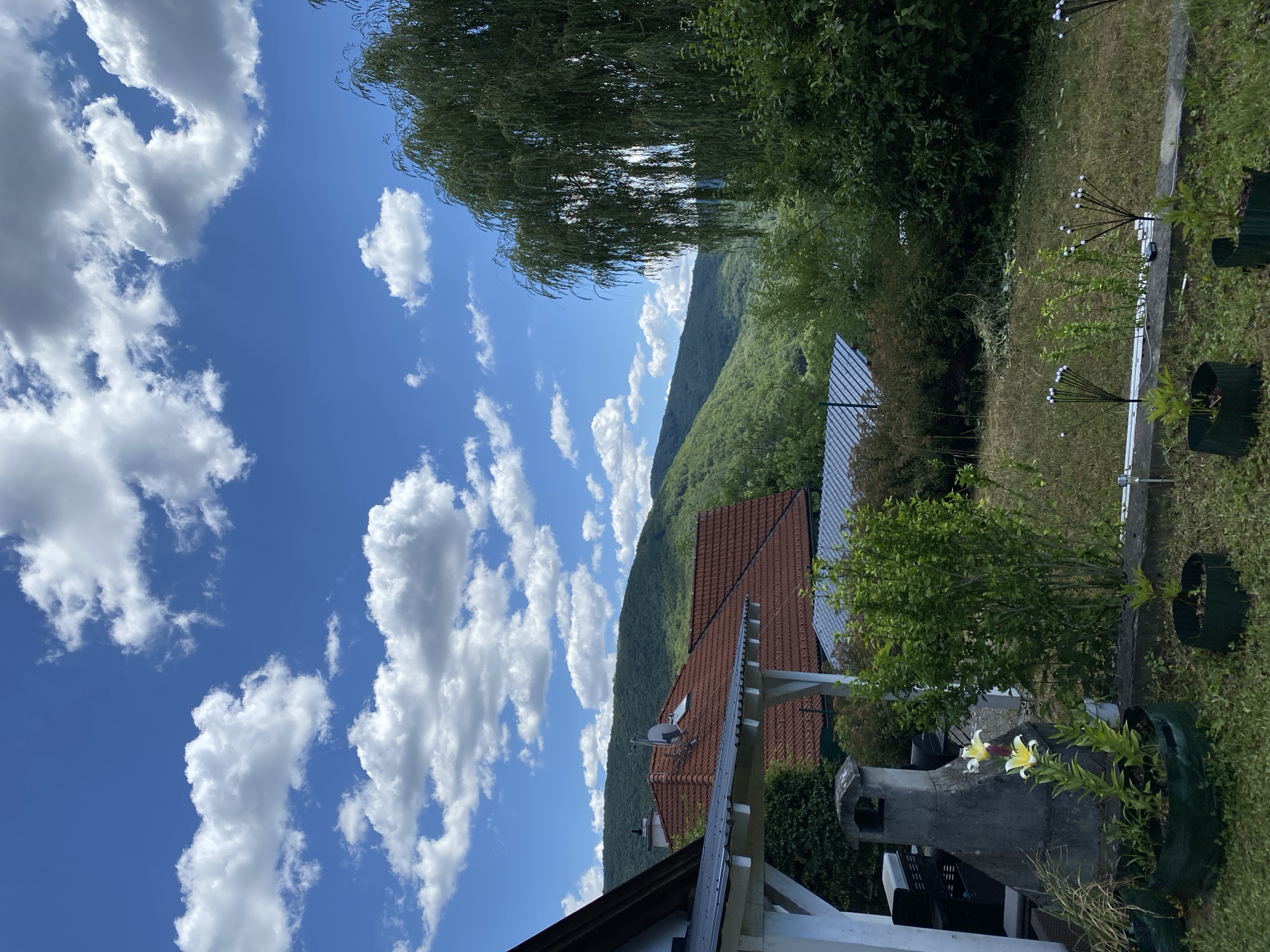 This is a photograph taken from a residential property in Purkersdorf, Austria, overlooking a valley. The foreground shows a portion of a house with a red-tiled roof and a white overhang. Adjacent to the house is a concrete barbecue or outdoor fireplace, and several potted plants, including two flowering lilies. The middle ground features lush green bushes and trees, with more houses and rooftops visible behind them. In the background, rolling green hills covered in dense forest dominate the landscape. The sky above is a vibrant blue, dotted with fluffy white cumulus clouds. The overall impression is a serene, rural setting on a bright, sunny day.