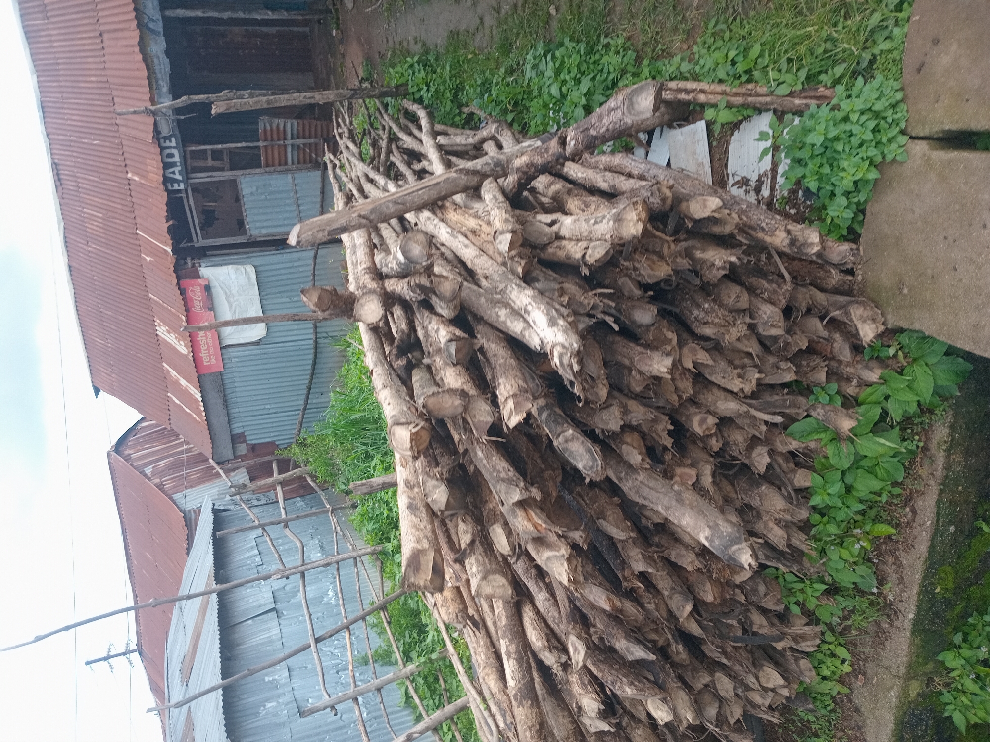 In Bukuru, Nigeria, a pile of cut branches and logs is stacked in front of a row of corrugated metal buildings. The logs vary in thickness and length, with some showing rough cuts at their ends. The buildings have rusted corrugated metal roofs and some have metal sheeting on the walls. One building has a sign that reads "E.ADE" and another has a Coca-Cola advertisement. Green vegetation, including grass and leafy plants, grows around the buildings and at the base of the woodpile. The ground appears to be a mix of dirt and some paved surfaces. The sky is overcast. There are no people visible in the image.