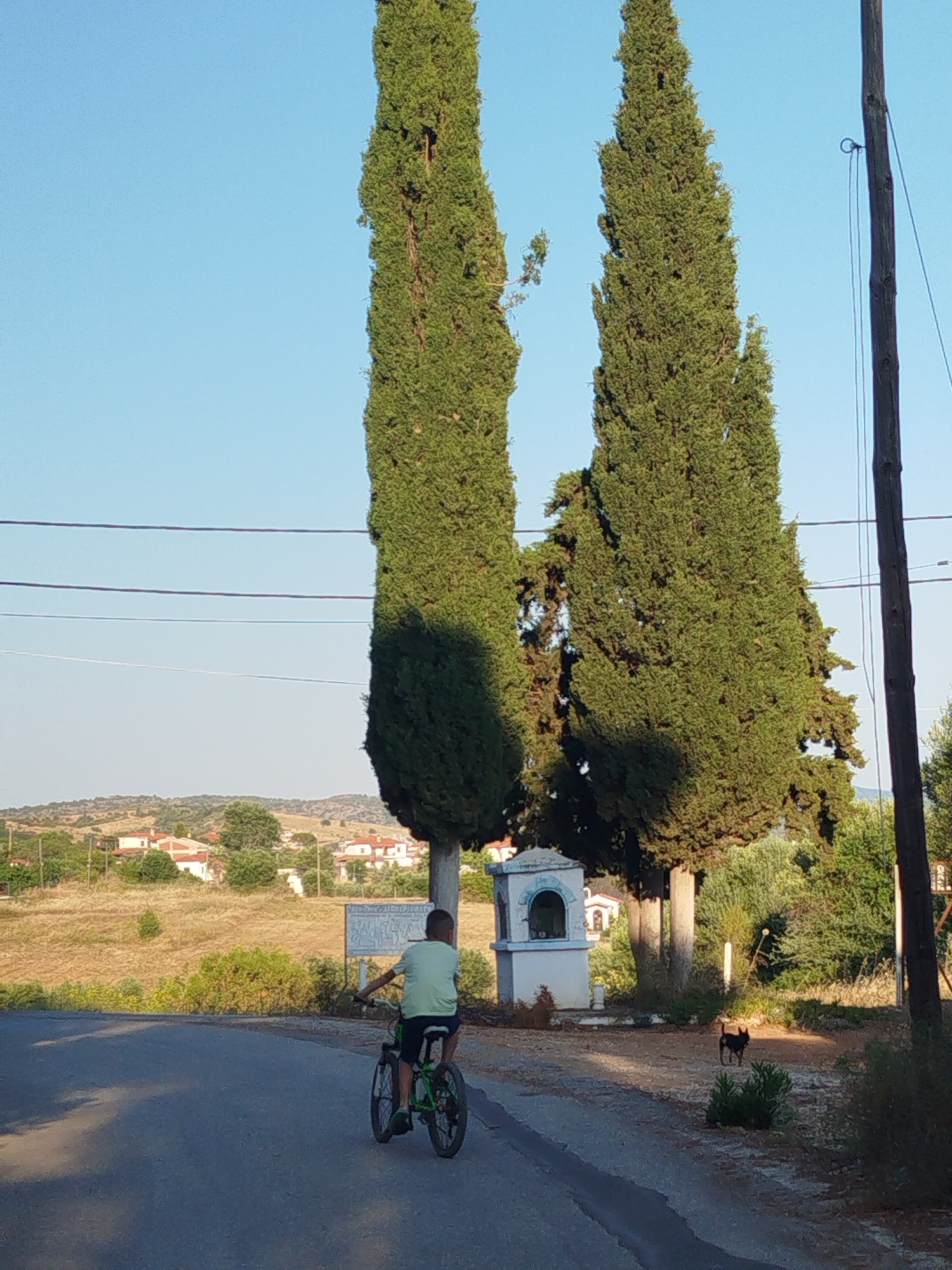 A boy rides a bicycle on a paved road. He is wearing a light green t-shirt and dark shorts. In the background, there are two tall cypress trees, a small white shrine, and a village with houses. A small dark dog stands in the foreground. The sky is clear and blue. The scene appears to be in a rural area of Sithonia Municipal Unit, Greece.
