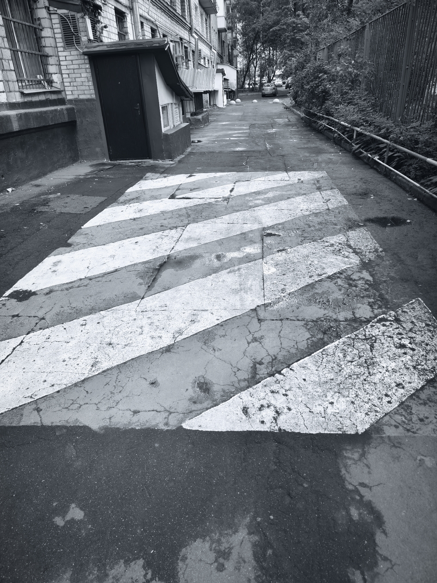 A grayscale, eye-level, wide shot captures a cracked, wet asphalt road with a faded pedestrian crossing marked by diagonal white stripes. The crossing is in the foreground, leading toward a narrow, paved alleyway. On the left, a textured brick building features barred windows, a dark metal door, and ventilation units. Adjacent to the building is a small, shed-like structure with a slanted roof. The alleyway recedes into the background, lined with trees and dense foliage on the right, enclosed by a tall, metal fence. A metal railing runs along the base of the fence. Further down the alley, a few cars are visible parked on the road, and the distant buildings suggest an urban environment. The scene appears to be in Moscow, Russia, given the architectural style and the presence of a typical Soviet-era apartment building. The weather appears to be overcast or rainy, as evidenced by the wet surfaces and puddles.