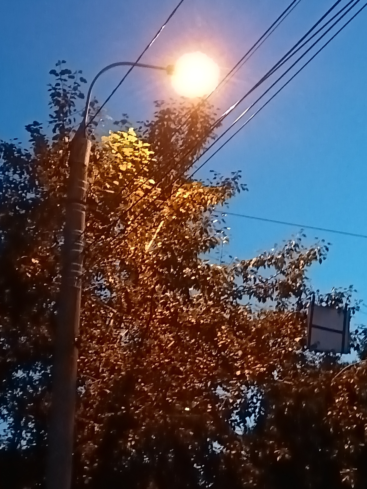 The image shows a street lamp illuminated against a clear blue dusk sky. A tall, grey, cylindrical pole, likely a utility pole or lamppost base, is visible on the left. Extending from this pole is a curved, black metal arm supporting a round, bright light fixture. The light is a warm, yellowish-orange color and illuminates the surrounding foliage.
A large tree with dense foliage dominates the center and right side of the frame. The leaves are a mix of greens and yellows, reflecting the light from the lamp. Some branches extend upwards and are partially obscured by power lines, which run diagonally across the upper portion of the image. The power lines are black and appear to be taut.
In the upper right quadrant of the image, a square object with a darker border is visible among the leaves. This could be a sign or part of another fixture. The overall scene suggests an outdoor urban or suburban setting, likely in a park or along a street, during twilight. The lighting indicates that it is evening, just after sunset, as the sky is still bright blue but the artificial light of the lamp has been switched on. The air appears calm, with no indication of wind or adverse weather. The scene evokes a sense of peaceful transition from day to night. No people or animals are visible in the frame. There is no discernible text in the image.