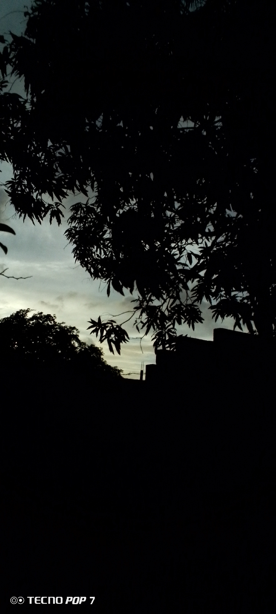 The image depicts a silhouette of trees against a cloudy sky at dusk or dawn. In the foreground, dark foliage dominates the frame, with some branches and leaves clearly visible. In the background, the sky is overcast with subtle variations in light and shade. Below the trees, the outlines of buildings and possibly some utility poles are discernible. A portion of the lower right corner of the image displays a watermark that reads "TECNO POP 7". The scene appears to be an outdoor setting, likely in a residential or semi-urban area, given the presence of buildings. The lighting suggests a low-light condition, such as twilight or an overcast day. The image is shot from a low angle, looking upwards towards the sky and through the trees. There are no people or animals visible in the frame. The location is specified as Altagracia, Venezuela.