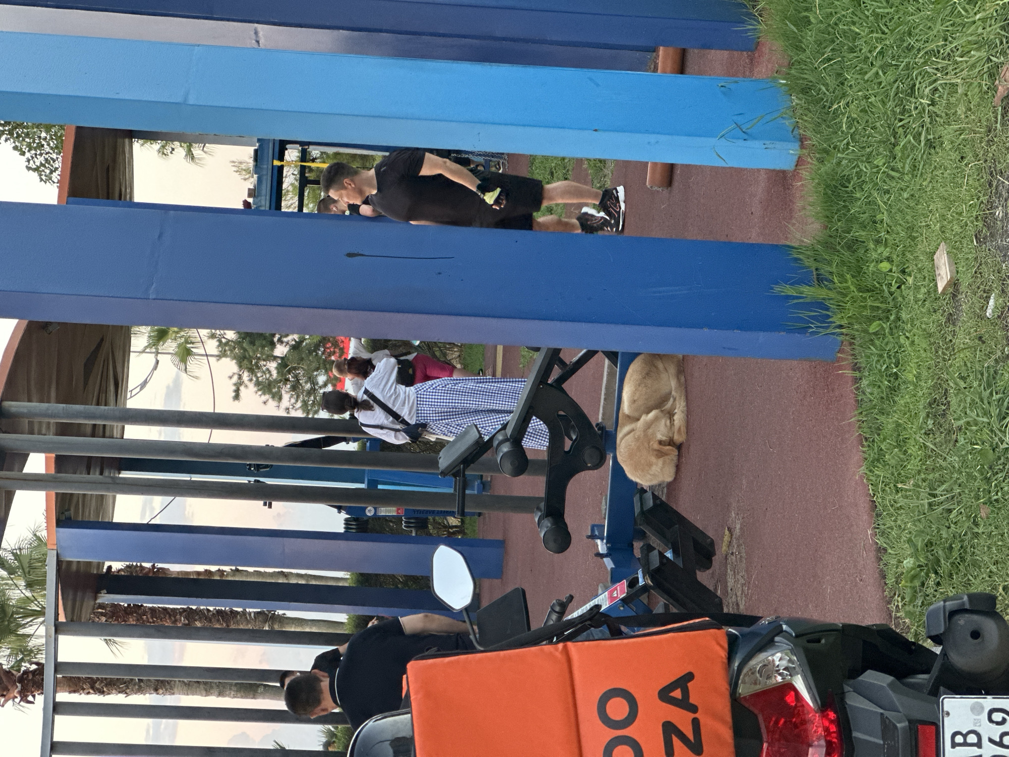 The image depicts an outdoor area with exercise equipment in Batumi, Georgia. In the foreground, a portion of a black scooter with an orange delivery box is visible on the left. A golden retriever dog is lying down on a red rubberized surface in the middle ground. Behind the dog, there is exercise equipment. Several individuals are present in the background. On the far left, a man in a black shirt is seen from behind. To his right, a woman wearing a white top and a blue and white checkered skirt is visible. To the right of the woman, a man in a black t-shirt and black shorts is standing, facing to the right, and appears to be wearing gloves on his hands. Palm trees and blue structural elements, possibly part of a covered area, are visible in the background. The overall environment suggests a public space, likely a park or an outdoor gym.