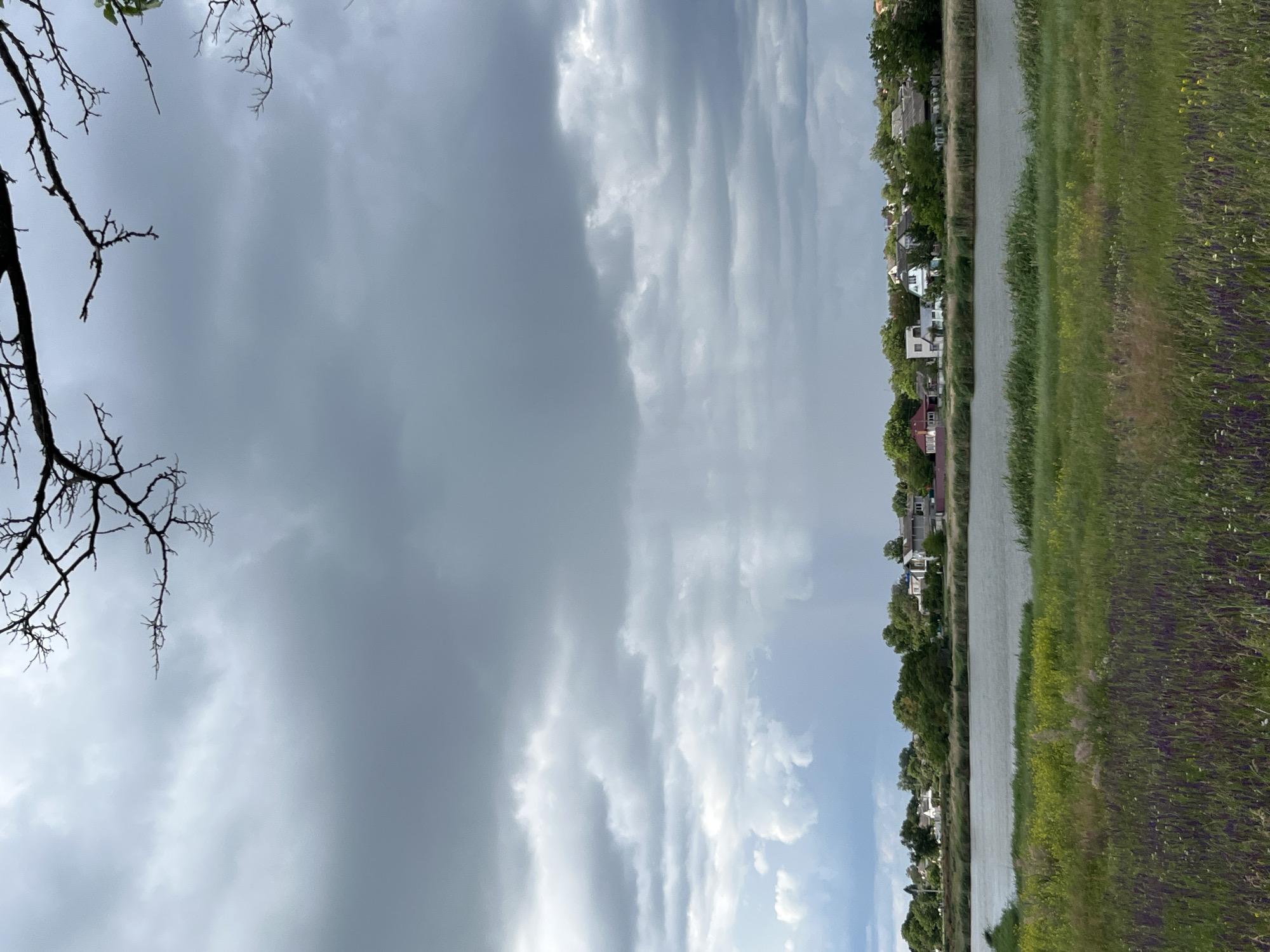 The image shows a wide river with a village on the opposite bank, under a cloudy sky. In the foreground, there is a field of wild grass and flowers, with purple and yellow blooms visible. The river is calm and reflects the grey sky. The village consists of several houses with red and white roofs, nestled amongst green trees. In the distance, a patch of rain is visible falling from the clouds. The overall atmosphere is moody and slightly overcast, suggesting impending or ongoing rain. The location is specified as Shyroka Dacha, Ukraine. There are no people or specific actions depicted in the image. The scene is a natural landscape with human settlement.