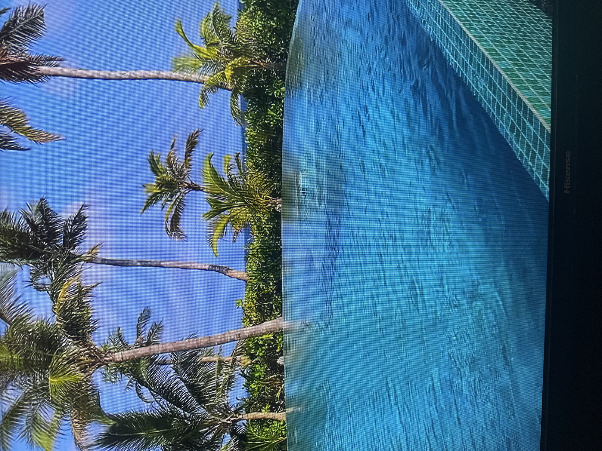 The image shows an infinity pool with clear blue water, surrounded by lush green foliage and tall palm trees. The pool edge is tiled with small green squares. In the background, the ocean can be seen under a clear blue sky. The scene evokes a tropical, resort-like atmosphere. There is no indication of the city of Kyiv, Ukraine, in this image.