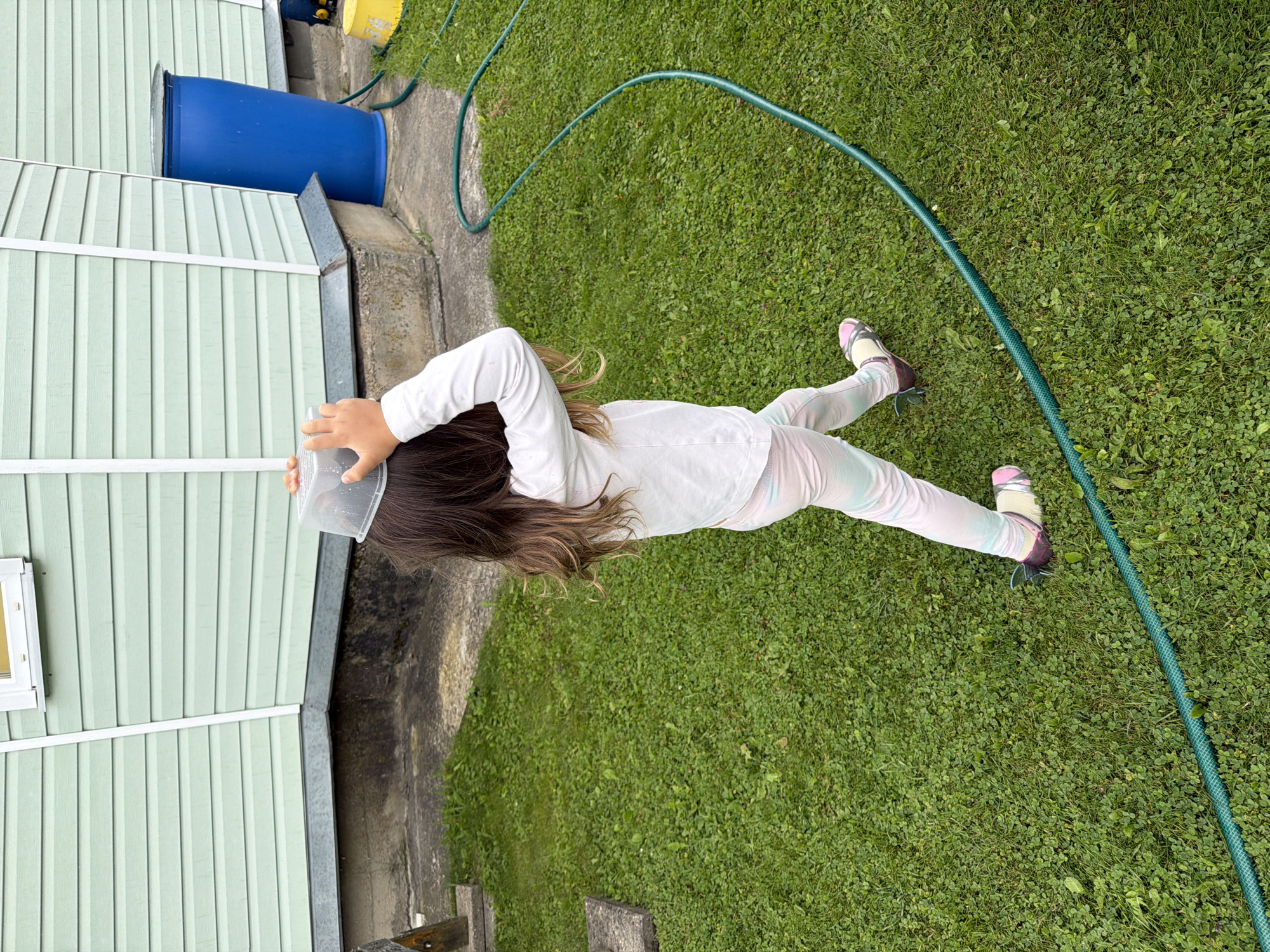 A young girl with long brown hair, wearing a white long-sleeved shirt and tie-dye leggings, is walking on a green lawn. She is holding a clear plastic container over her head with her right hand. In the background, a light green building with horizontal siding is visible. To the right of the building, a large blue barrel stands on a concrete foundation. A green garden hose snakes across the grass. The scene appears to be in a residential yard.