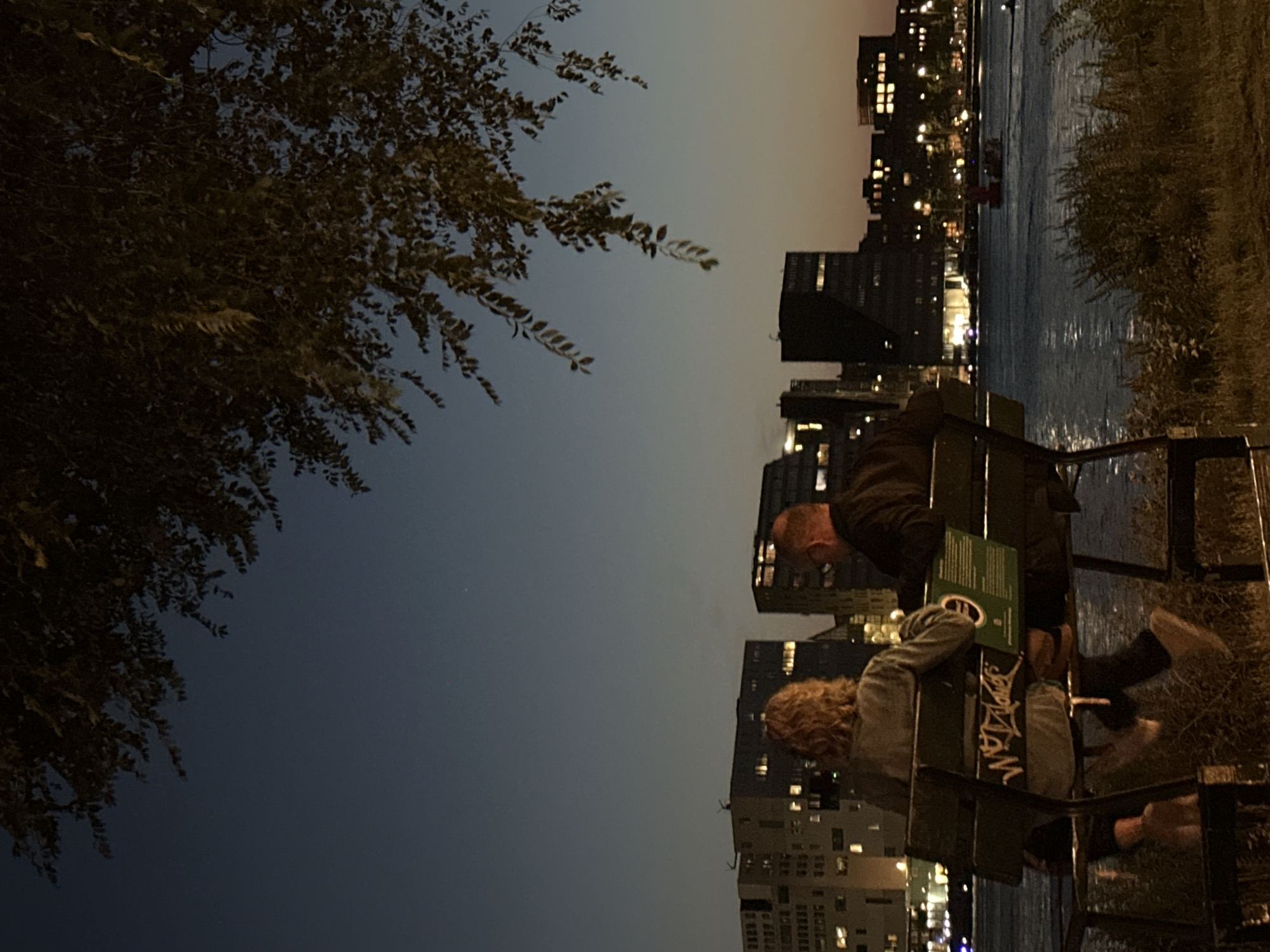 Two individuals are seated on a park bench facing a body of water, with a city skyline in the background. The sky is a deep twilight blue, with hints of orange and pink on the horizon. A tree with dark leaves hangs over the scene from the top right.
The individuals are viewed from behind. The person on the left has blonde, curly hair and is wearing a light-colored shirt. The person on the right has short, dark hair and is wearing a dark jacket. Both are wearing pants. The bench is dark metal and wood, with some graffiti on the backrest. A green sign is also attached to the backrest.
The body of water is calm, reflecting the lights of the city. Several buildings of varying heights are visible in the city skyline, some of which are illuminated. A small boat with a red light is moving across the water.
The foreground consists of dry grass and weeds. The overall impression is a quiet, evening scene in an urban waterfront setting. The specific location in Amsterdam, Netherlands, is not definitively identifiable from the image alone but the architectural style of the buildings suggests a modern urban development, possibly along the IJ river.