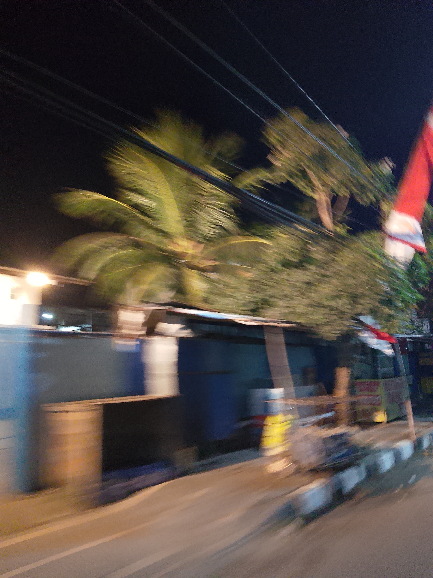 The image depicts a street scene at night in Ngelo, Indonesia. The motion blur suggests the photo was taken from a moving vehicle. In the foreground, a road is visible with a sidewalk demarcated by white and grey blocks. Behind the sidewalk, there is a low-lying structure with blue walls and a corrugated metal roof. To the left of this structure, a bright light source illuminates a white wall. A large palm tree with fronds is prominent in the midground, its leaves blurred due to motion. Further back, a dense canopy of green foliage from other trees is visible. A red and white flag, likely the Indonesian flag, is partially visible on the right side of the frame, also blurred. Overhead, multiple dark power lines traverse the sky. The overall impression is a busy, possibly commercial, street at night.