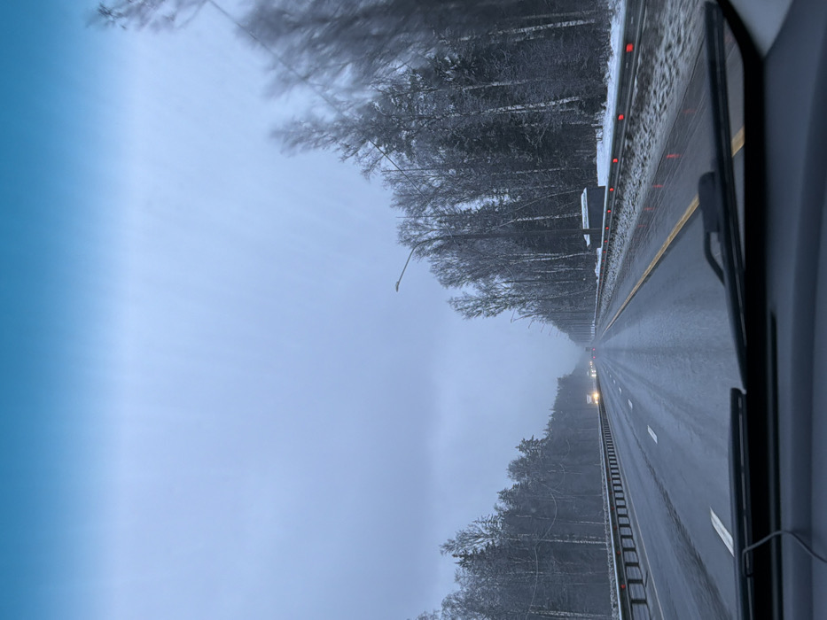 The scene depicts a multi-lane highway in Selevino, Russia, viewed from inside a vehicle looking forward through the windshield. The weather is overcast with a pale grey sky, transitioning to a light blue tint at the top. The road surface is dark asphalt, wet, and reflective, indicating recent precipitation or melted snow. It features at least four lanes, separated by a metal median barrier, with white lane markings visible. A solid yellow line marks the right shoulder. Both sides of the highway are lined with snow-covered shoulders and dense forest containing a mix of bare deciduous trees and coniferous evergreens, all lightly dusted with snow. Metal guardrails run alongside the median, with red reflectors visible on the right-side barrier. Numerous streetlights extend along the right side of the road into the distance. A small, dark, rectangular structure, possibly a utility box or shed, is situated on the snow-covered right shoulder. In the distance, multiple vehicles with activated headlights are visible approaching in the opposing lanes. The bottom portion of the vehicle's windshield, including wipers and a black wire on the dashboard, is visible in the foreground. No people are visible.