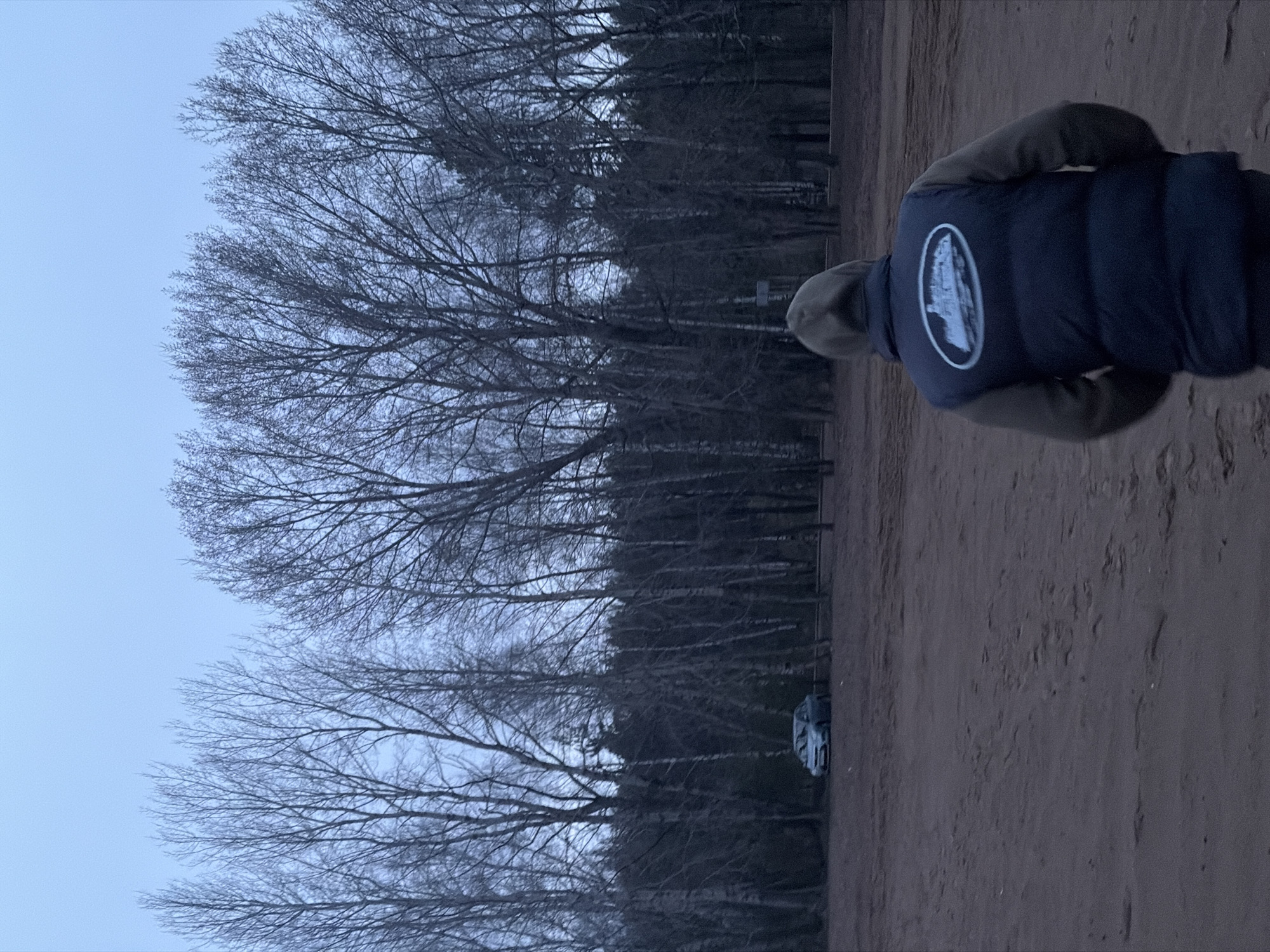 The image displays an outdoor scene in Noviy, Russia, characterized by a person in the foreground set against a backdrop of dense, bare trees and a pale sky. The person is viewed from behind, positioned on the right side of the frame, and appears to be facing a wooded area. They are wearing a dark blue puffer vest over a long-sleeved green garment, possibly paired with a light-colored beanie or hood. A prominent white oval logo on the back of the vest features a detailed depiction of a multi-storied structure, possibly a castle or a large building with multiple peaks or towers.
The background is dominated by a thick line of deciduous trees, devoid of leaves, indicating a cold season such as late autumn, winter, or early spring. These trees create a dark, textured barrier against the light blue-grey sky, suggesting either an overcast day or the soft light of dawn or dusk. The ground in the foreground and mid-ground is covered in sand or dirt, implying a beach, a large sandy area, or an unpaved path. In the mid-distance, partially hidden by the treeline, a small, light-colored object resembling a vehicle or equipment is faintly visible. No specific activity is clearly depicted beyond the person's presence in this outdoor setting. No discernible text is visible other than the emblem on the vest.