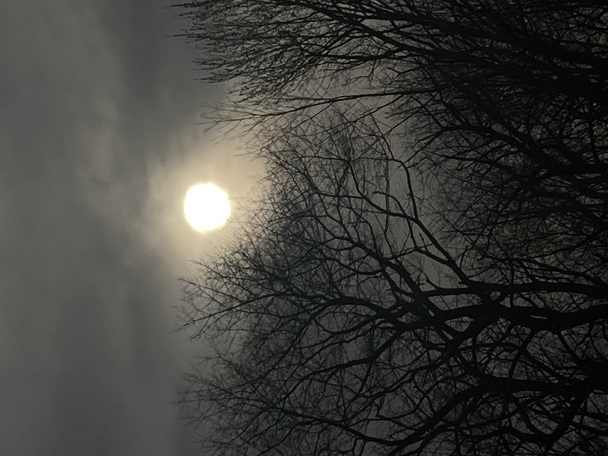 The image depicts a night scene, possibly in City of Port Jervis, United States of America, although this can only be inferred rather than confirmed. Dominating the right half of the frame is a stark silhouette of bare tree branches, intricately interwoven against the night sky. The branches, devoid of leaves, suggest either a winter or late autumn season. A luminous, circular object, likely the moon or the sun shining through cloud cover, is positioned in the upper left of the frame. The sky appears overcast, with varying shades of gray indicating clouds. The overall atmosphere is somber and atmospheric.