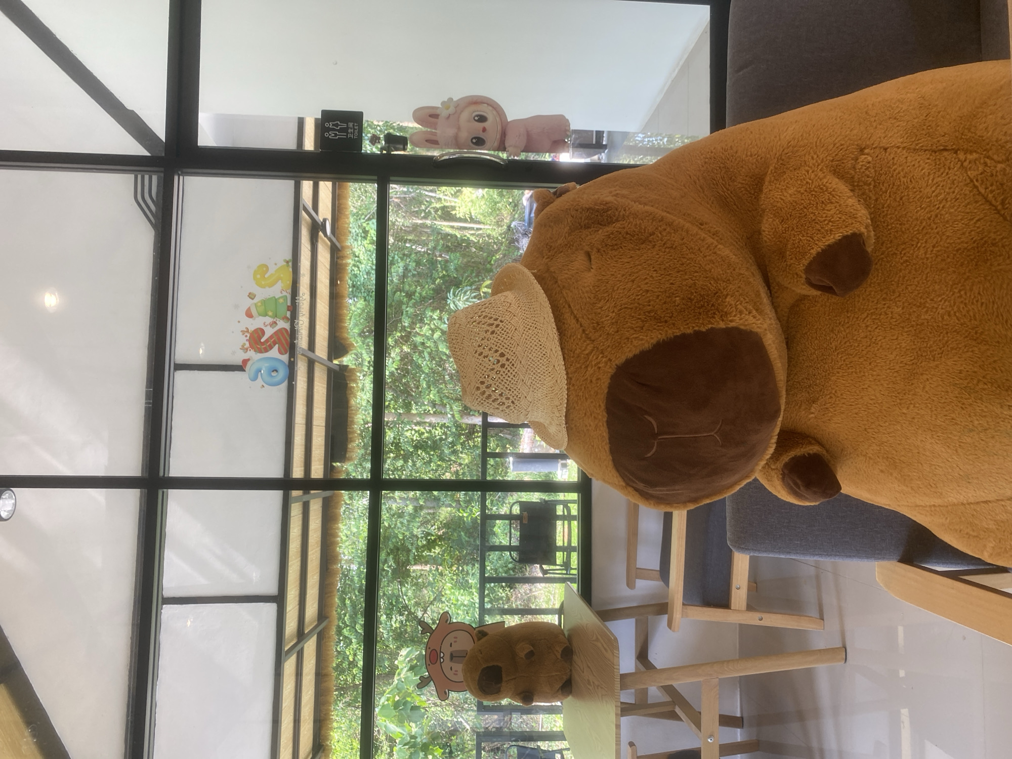 This image captures an indoor setting, likely a cafe or lounge, featuring large floor-to-ceiling glass windows that offer a view of lush green foliage outside. The scene is brightly lit by natural light, suggesting it's daytime.
In the foreground, on the right side of the image, a large, fluffy brown plush animal, possibly a bear or a hippo, sits on a grey upholstered chair. It wears a small straw hat on its head and faces towards the windows. Further back, on a light-colored wooden table, a smaller brown plush animal, resembling a hippo, is also placed, looking out the windows. On a window ledge, a pink rabbit-like plush toy with a small flower on its head is resting.
The windows, framed in black, showcase the natural environment beyond, filled with trees and greenery. Visible through the windows, further in the distance, is what appears to be outdoor equipment or furniture. Inside, on the window glass itself, there are colorful decals, including letters "S S" and a cartoon reindeer head, suggesting playful or seasonal decorations. A black rectangular sign with white text is affixed to the window frame, displaying pictograms for male and female restrooms, along with the English word "TOILET" and Chinese characters "卫生间" (Wèishēngjiān), indicating a restroom.
The furniture includes modern wooden chairs with grey upholstered seats and light wooden tables. The floor is a light, neutral color, possibly tiled. The combination of the "TOILET" sign with Chinese text and the tropical-looking foliage aligns with the given location context of Choeng Thale, Thailand, creating a relaxed, pleasant ambiance.