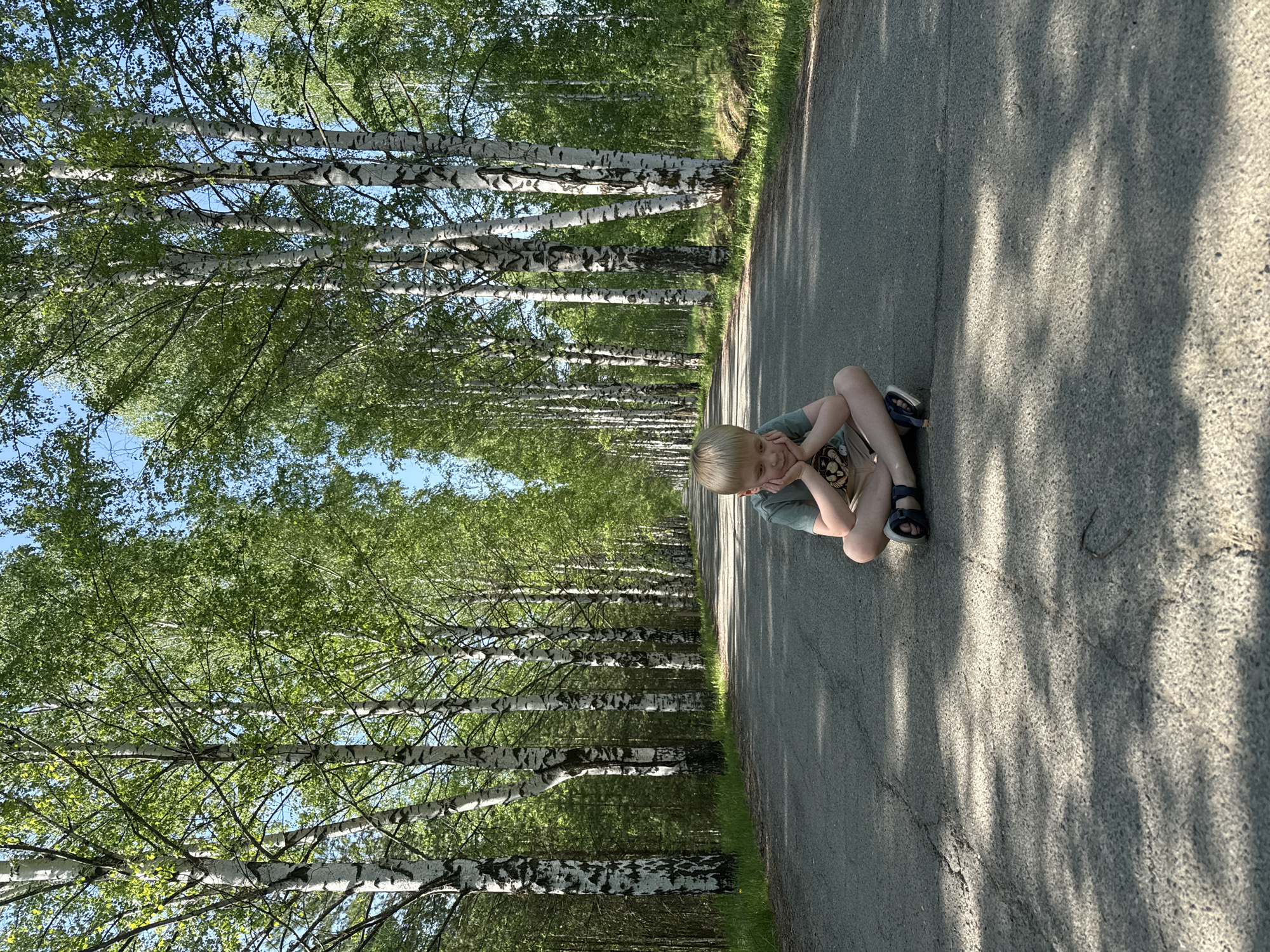 A young boy sits on a paved road in Июльское, Russia. He is wearing sandals, shorts, and a t-shirt. He is crouched with his hands supporting his chin. Rows of birch trees line either side of the road. The sky is visible through the canopy of leaves. Sunlight casts shadows on the road surface.