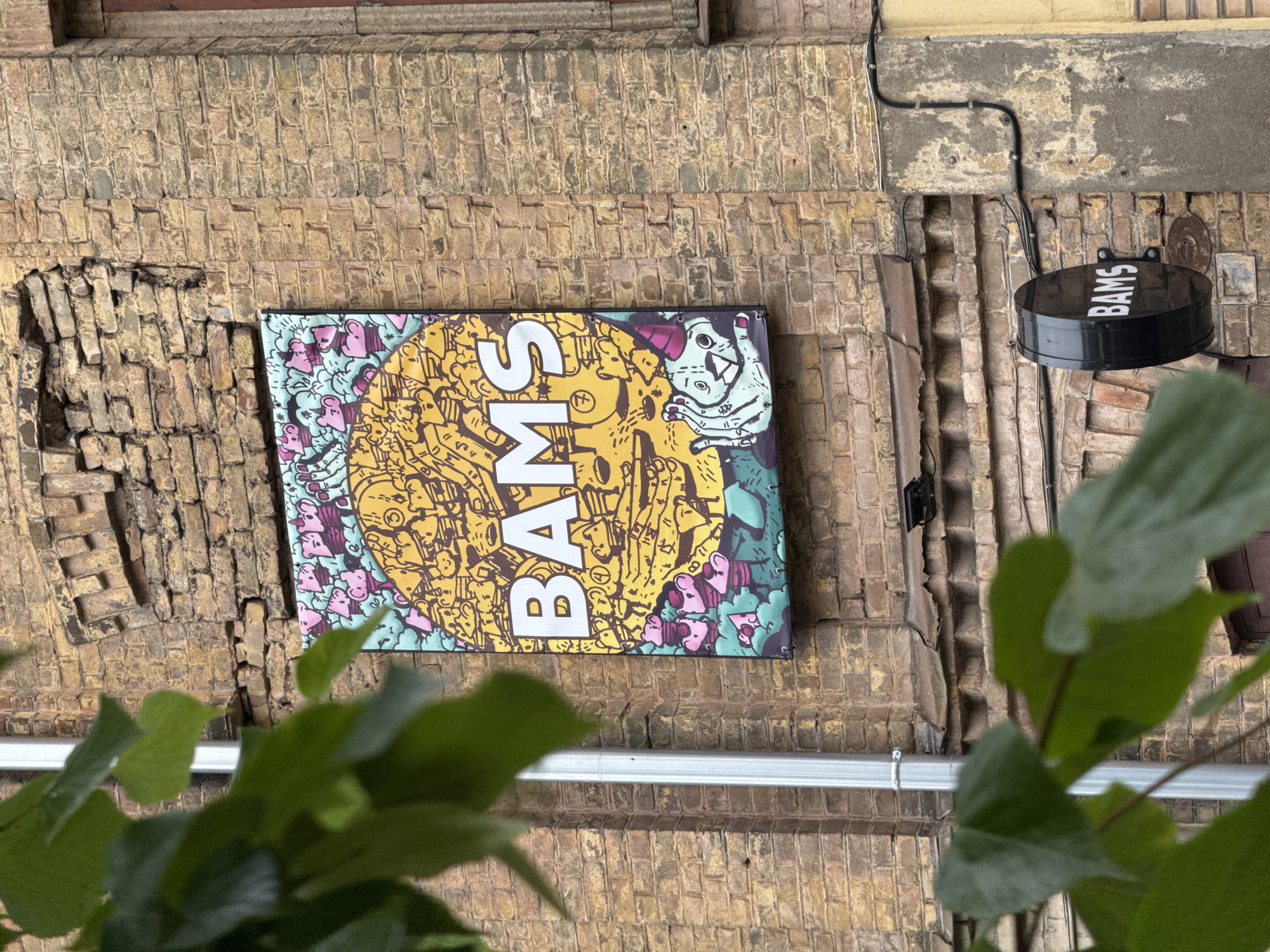 This image presents an outdoor urban scene in Riga, Latvia, centered on two signs affixed to a weathered brick wall. The main subject is a vibrant, rectangular sign displaying the word "BAMS" in large white letters. The sign's background is a busy yellow field filled with countless small, cartoonish doodle figures, alongside sections of mint green and pink featuring similar whimsical designs, including a light green, creature-like character on the right edge.
Adjacent and to the right, a smaller, circular black sign also exhibits the white text "BAMS." Both signs are mounted on an old, distressed brick wall, characterized by its beige and light brown hues. The brickwork shows significant signs of age and wear, with some areas appearing damaged or crumbling, particularly on the left side. Black electrical conduits and wires trace pathways across the brick, connecting to the signs. A section of a yellow building is visible above the brick wall. In the foreground, out-of-focus green leaves and stems partially obscure the bottom portions of the image, indicating nearby foliage. The scene is captured during daylight, from a low-angle perspective looking upwards at the building facade.
