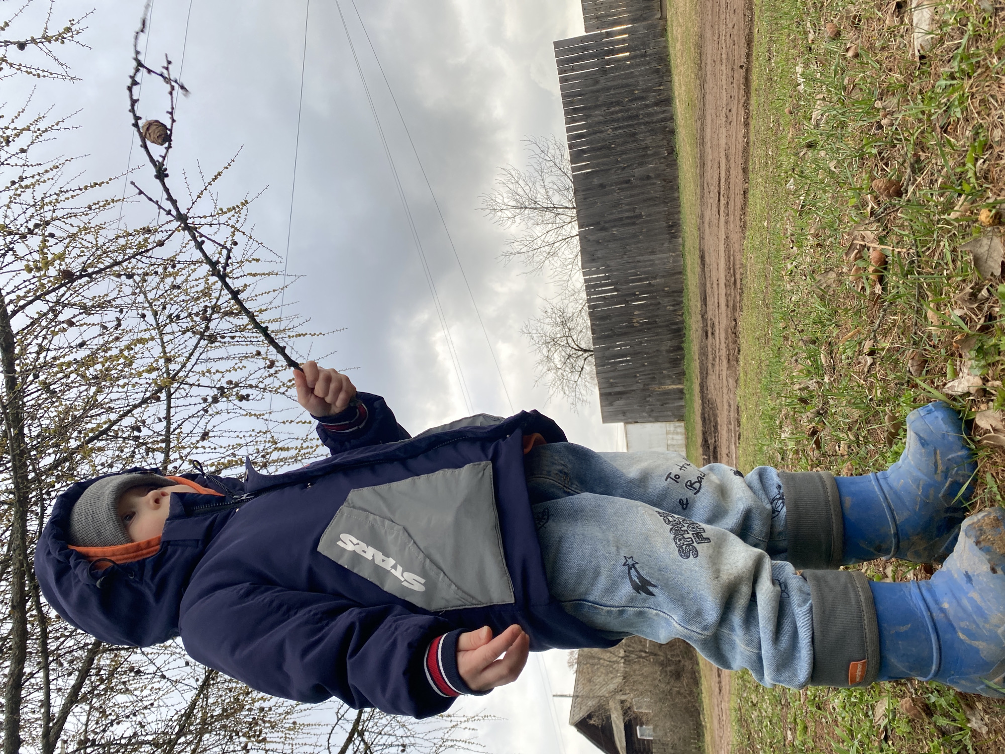 The image, taken in Ольховка, Russia, depicts a young child outdoors on an overcast day. The child, appearing to be male, is dressed in warm clothing, including a grey beanie, a dark blue hooded jacket with an orange lining, light blue jeans adorned with various patterns and partially visible text ("To The & Back"), and blue rain boots. A prominent grey pocket on the jacket features the white text "STARS."
The child is holding a thin, bare stick with both hands, its upper end impaling a small, round, brown object, likely a pinecone or a small nest. The child looks upward and slightly to the right, seemingly focused on the object or something in the distance, indicating playful exploration or curiosity.
The setting is a rural or semi-rural area characterized by a dirt path alongside green grass with scattered dry leaves and small brown objects on the ground. A tall, dark wooden plank fence forms a boundary in the background. Bare or budding trees, possibly indicating early spring, are visible throughout the scene, with one prominent tree close to the child displaying numerous small yellow buds or foliage. Power lines are visible against the cloudy sky. Parts of a distant building are faintly discernible beyond the fence. The image is presented rotated 90 degrees counter-clockwise from its natural orientation.