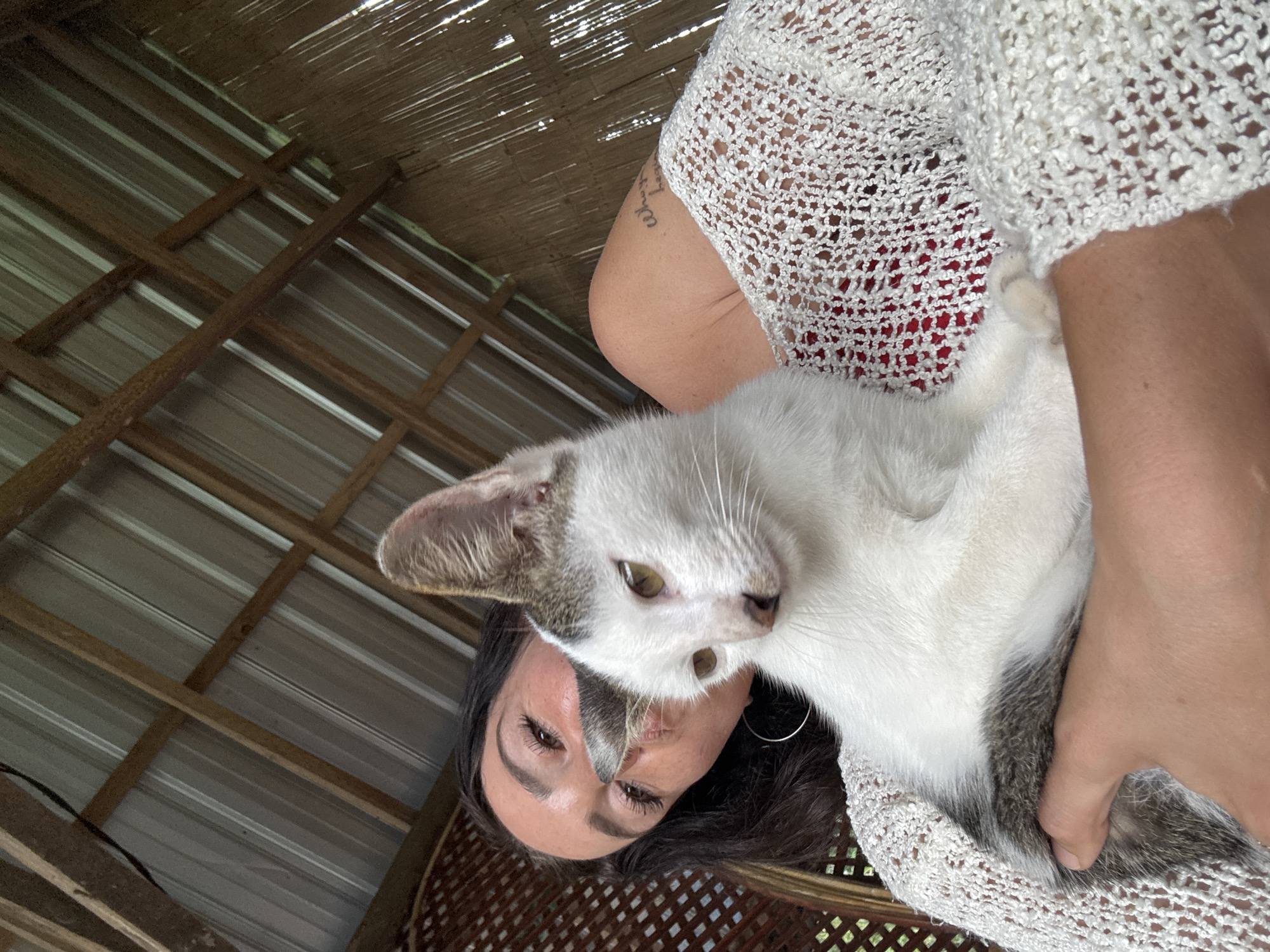 The image shows a woman holding a white and grey cat. The woman has dark hair and is wearing a white, open-weave sweater over a red garment. The cat is facing to the right, with its head tilted. A tattoo is visible on the woman's upper arm. The background suggests an outdoor, possibly tropical, setting with a corrugated metal roof supported by wooden beams and walls made of woven bamboo or similar material. This environment is consistent with an open-air structure found in rural areas of Manggis, Indonesia.