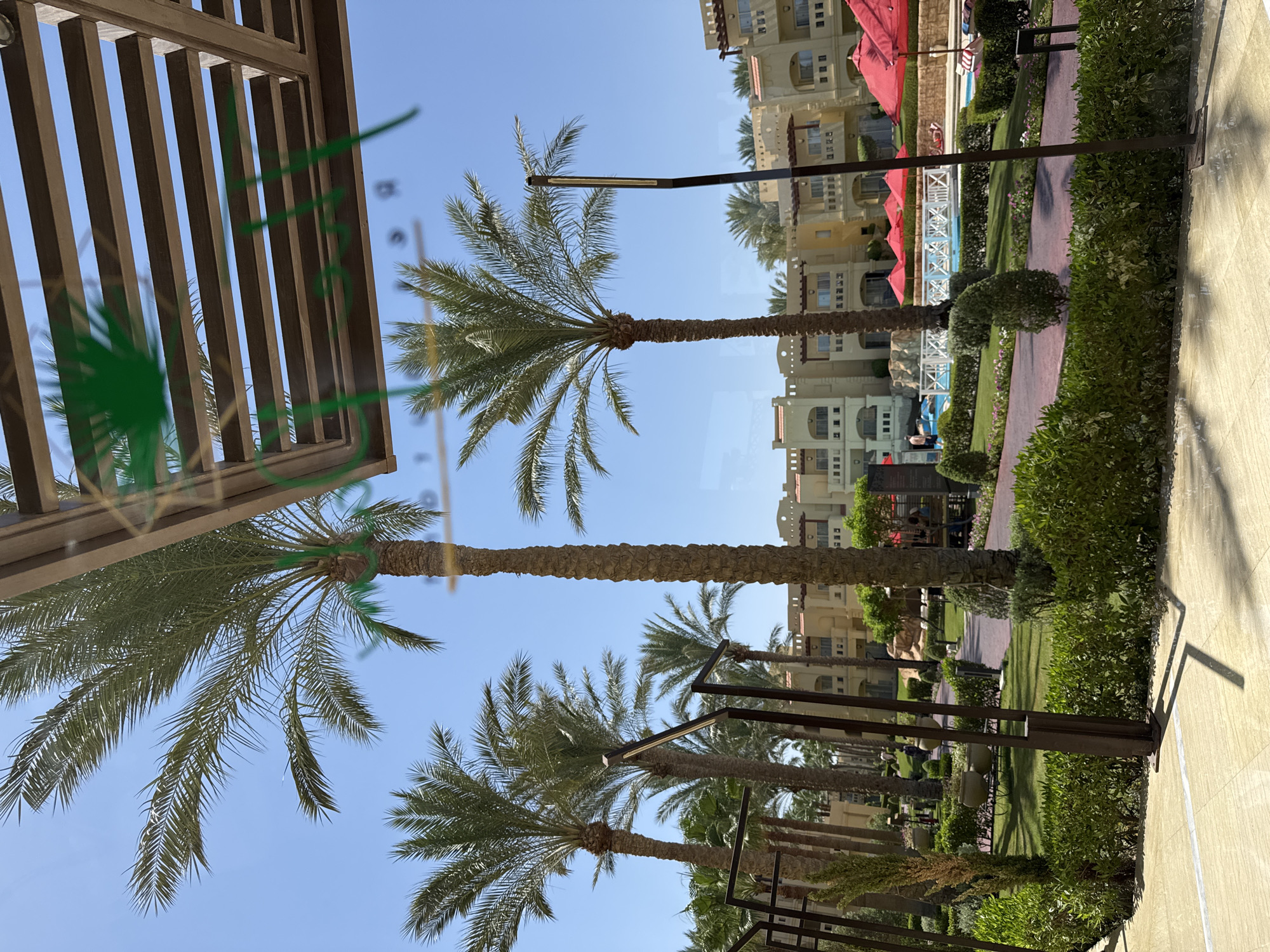 An outdoor resort scene is depicted with a focus on palm trees, landscaping, and resort buildings. In the foreground, a wooden pergola structure partially obscures the view, with green lettering visible on the glass below it. Several tall palm trees are prominent, their fronds reaching towards a clear blue sky. Beyond the trees, resort buildings with beige and yellow facades and red-tiled roofs are visible, some featuring balconies and arched windows. A swimming pool area is present, bordered by red umbrellas and lounge chairs, with a white bridge crossing part of the pool. Manicured green lawns, hedges, and decorative plants are strategically placed throughout the resort grounds. In the distance, a few individuals are seen near the pool area. The overall impression is one of a sunny, tropical vacation destination.