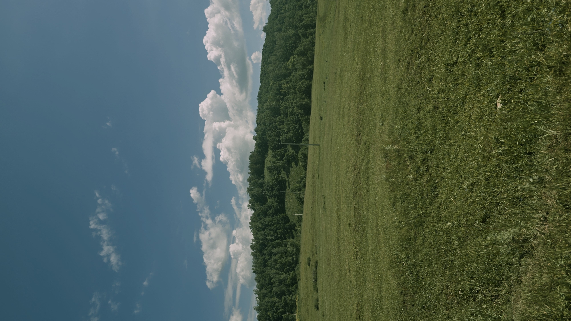 The image depicts a vast, green, open field under a bright blue sky dotted with fluffy white clouds. In the distance, a lush, densely forested hillside forms the horizon. The landscape appears to be rural and tranquil. There are no people or animals visible in the scene. Several thin, dark vertical poles, possibly for electrical lines or fencing, are sparsely scattered across the field. The foreground is dominated by the tall, textured green grass of the field. The overall impression is one of a serene, natural setting. The location is identified as Kzyl-Chishma, Russia.