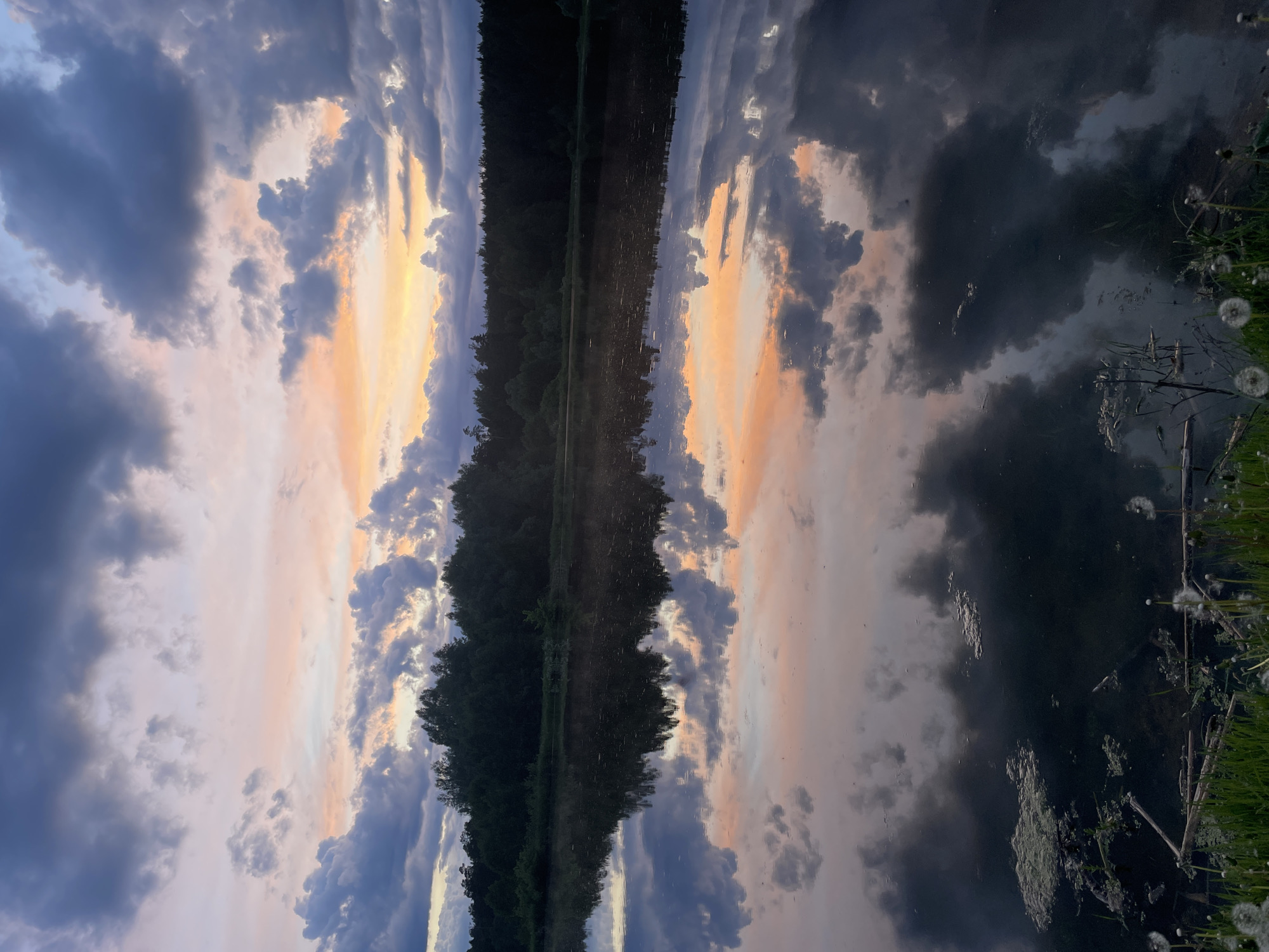 The image shows a reflection of a sunset sky in a body of water, likely a lake or river, in Балдейка, Russia. On either side of the reflected sky and clouds, there is a line of trees suggesting a shoreline. On the right edge, some vegetation is visible, including dandelions. The sky has colors ranging from dark blue and gray to orange and pink, indicating a sunset or sunrise. The reflection is somewhat distorted by the water's surface.
