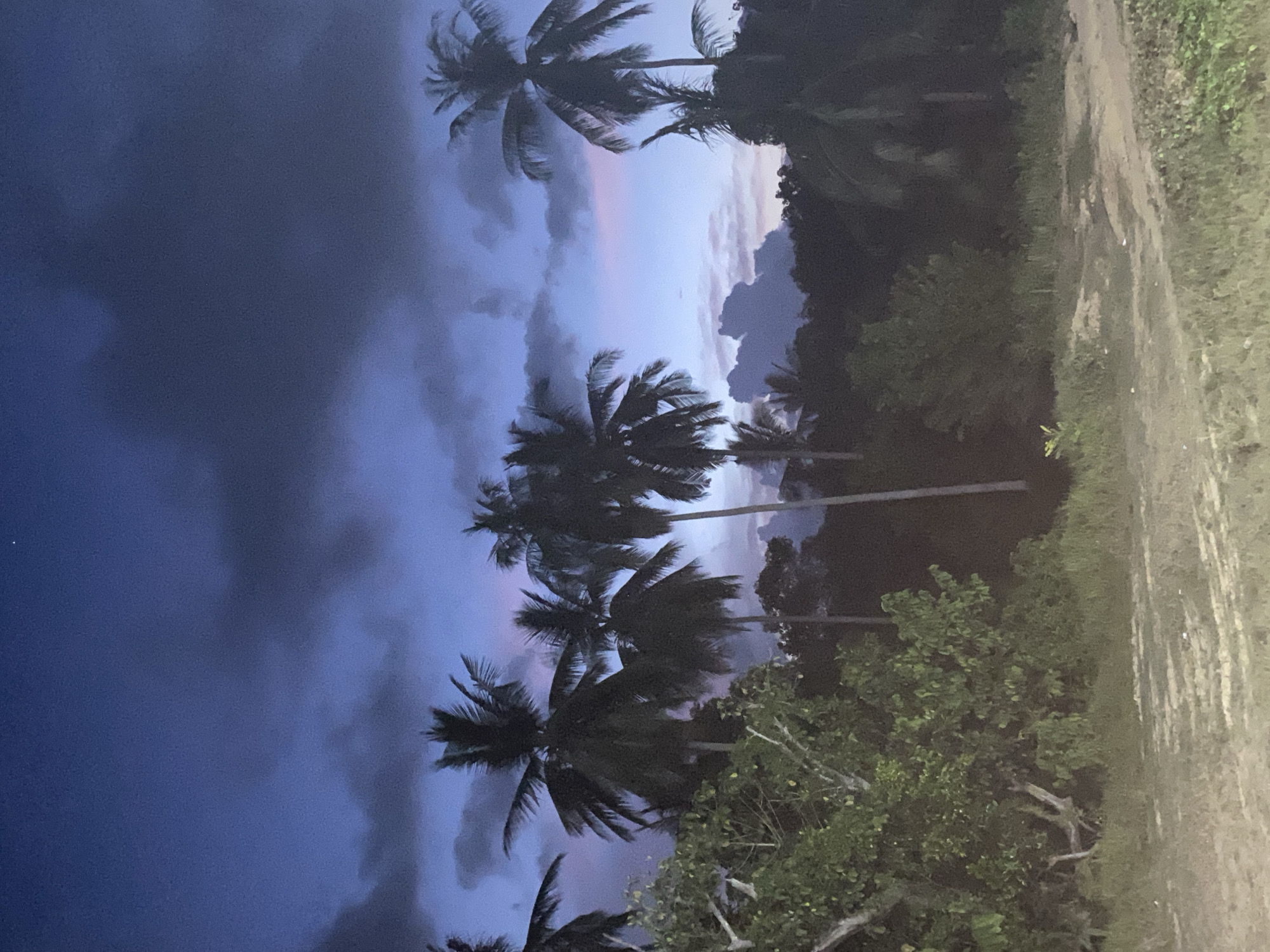 The image shows a scene in Seuneubok Teungoh, Indonesia at dusk. Several silhouetted palm trees stand prominently against a sky with a dark blue and purple hue, suggesting either early evening or before dawn. There is a dirt road on the right side of the image. Vegetation appears between the road and the palms.