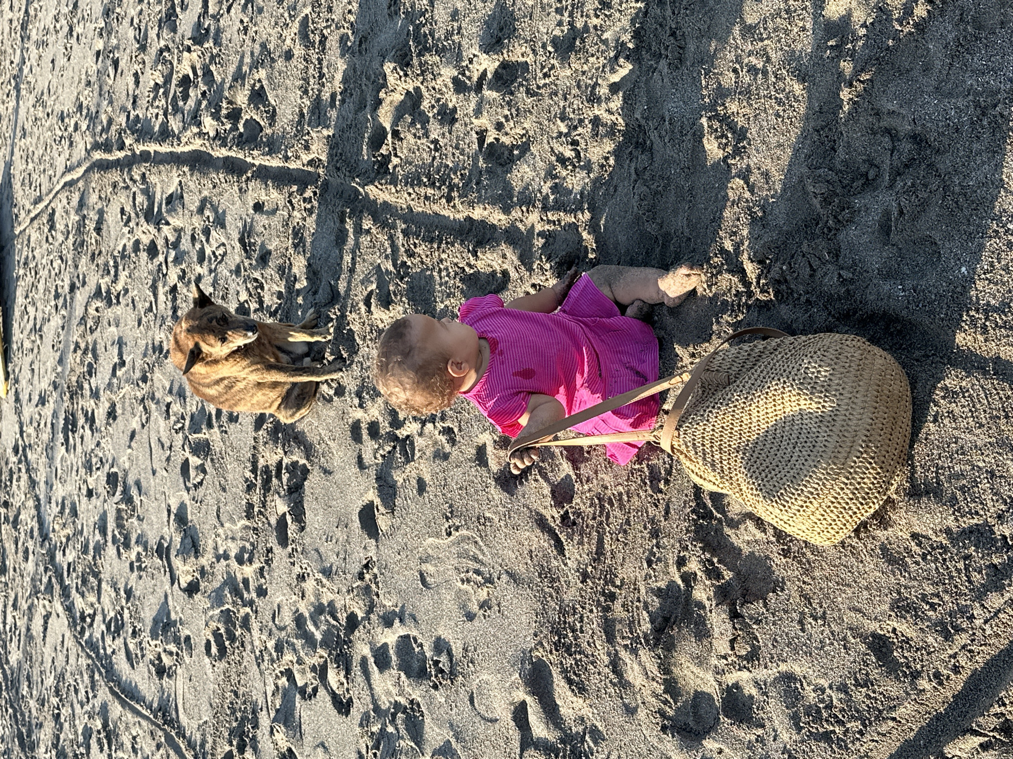 A young child wearing a bright pink dress sits on a sandy beach in North Kuta, Indonesia, with a straw bag beside them. A dog, with brindle fur, sits a short distance away, looking towards the child. The sand is textured with numerous footprints and tire tracks, indicating recent activity. Sunlight casts long shadows across the beach.
