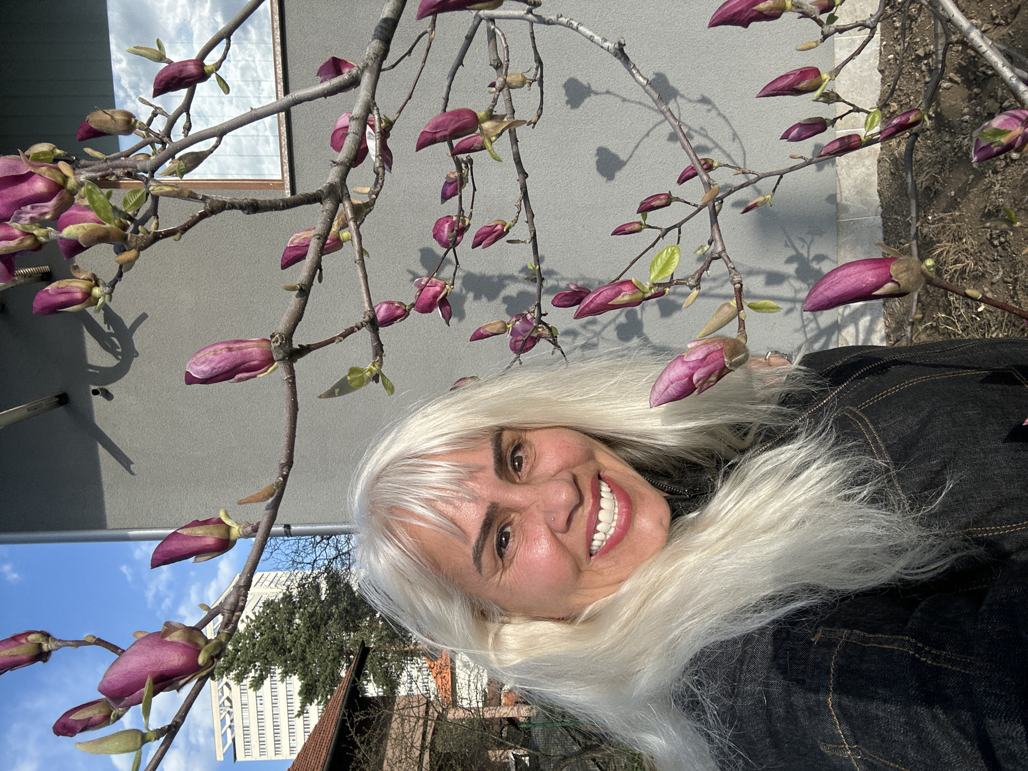 A woman with white hair smiles at the camera, framed by branches of a magnolia tree with blooming purple buds. The backdrop includes a light grey building wall with a window, patches of soil, and, in the lower left corner, glimpses of other buildings and trees, suggesting an urban environment. Based on the style of buildings, the presence of magnolia trees, and the prompt's instruction, the image likely originates from Sofia, Bulgaria.