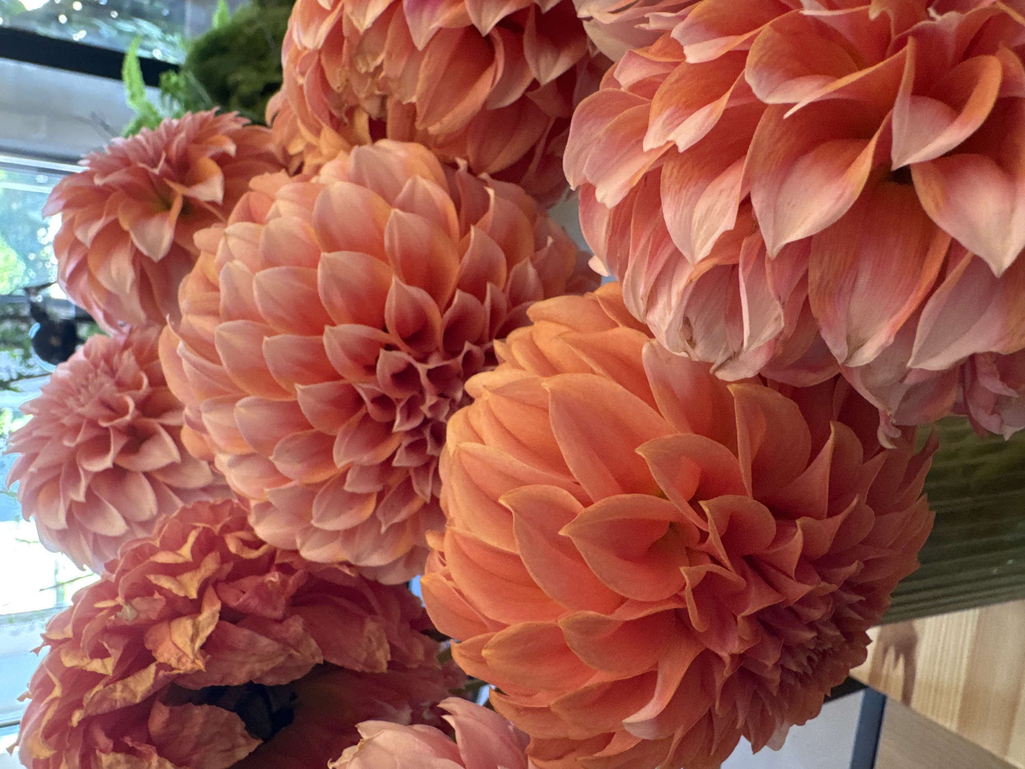 The image displays a close-up, top-down view of a bouquet of numerous dahlia flowers in various shades of orange and peach. The flowers are tightly packed and their layered petals create a sense of depth and texture. The foreground features two prominent dahlia blooms, one in the lower left and another slightly to the right and behind it. The petals of the lower left dahlia are distinctly defined and appear to be slightly curled at the edges. The dahlia to its right is larger and more open, with its petals radiating outwards. Behind these, more dahlias are visible, some in sharper focus than others, creating a rich tapestry of color and form. The flowers are arranged in a green, fluted vase, which is partially visible at the bottom center of the frame. In the background, a bright window or doorway suggests an indoor setting, with glimpses of greenery and what appears to be reflections or lights in the glass. The overall lighting is soft, highlighting the delicate textures of the flower petals. No specific location in Kremenchuk, Ukraine is identifiable from the visual information in the image.